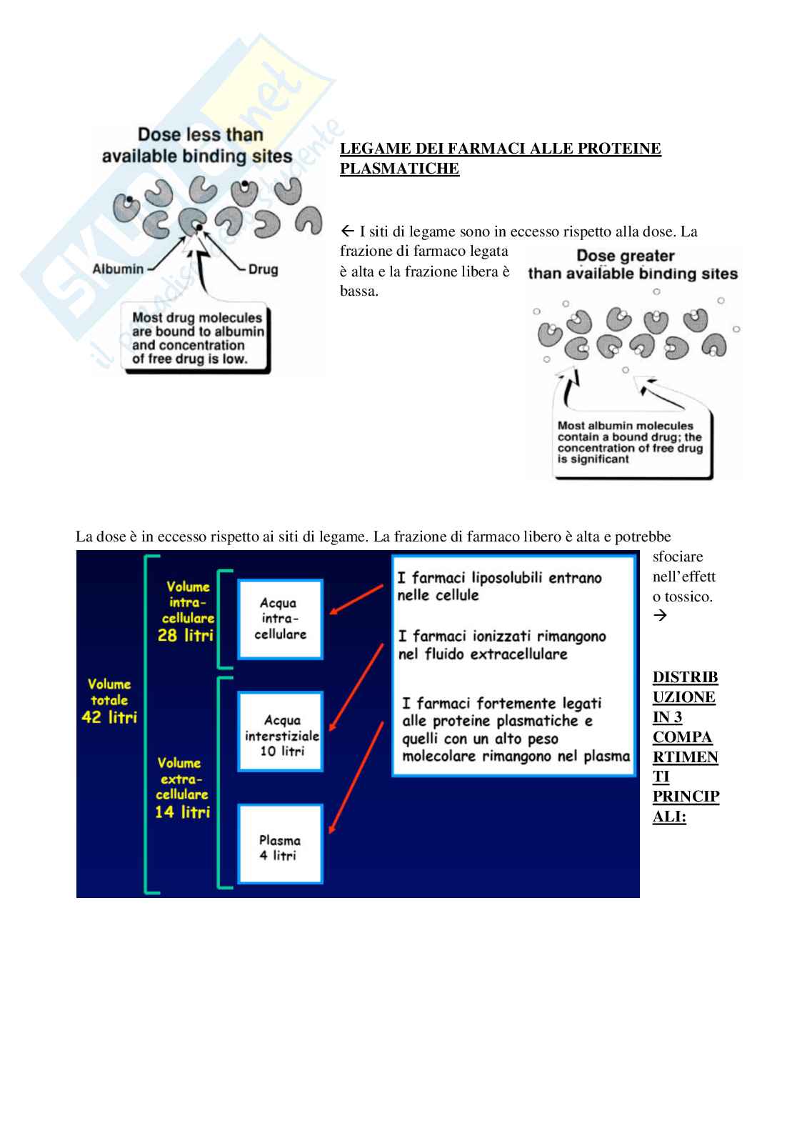 Farmacologia generale e farmacoterapia Pag. 41