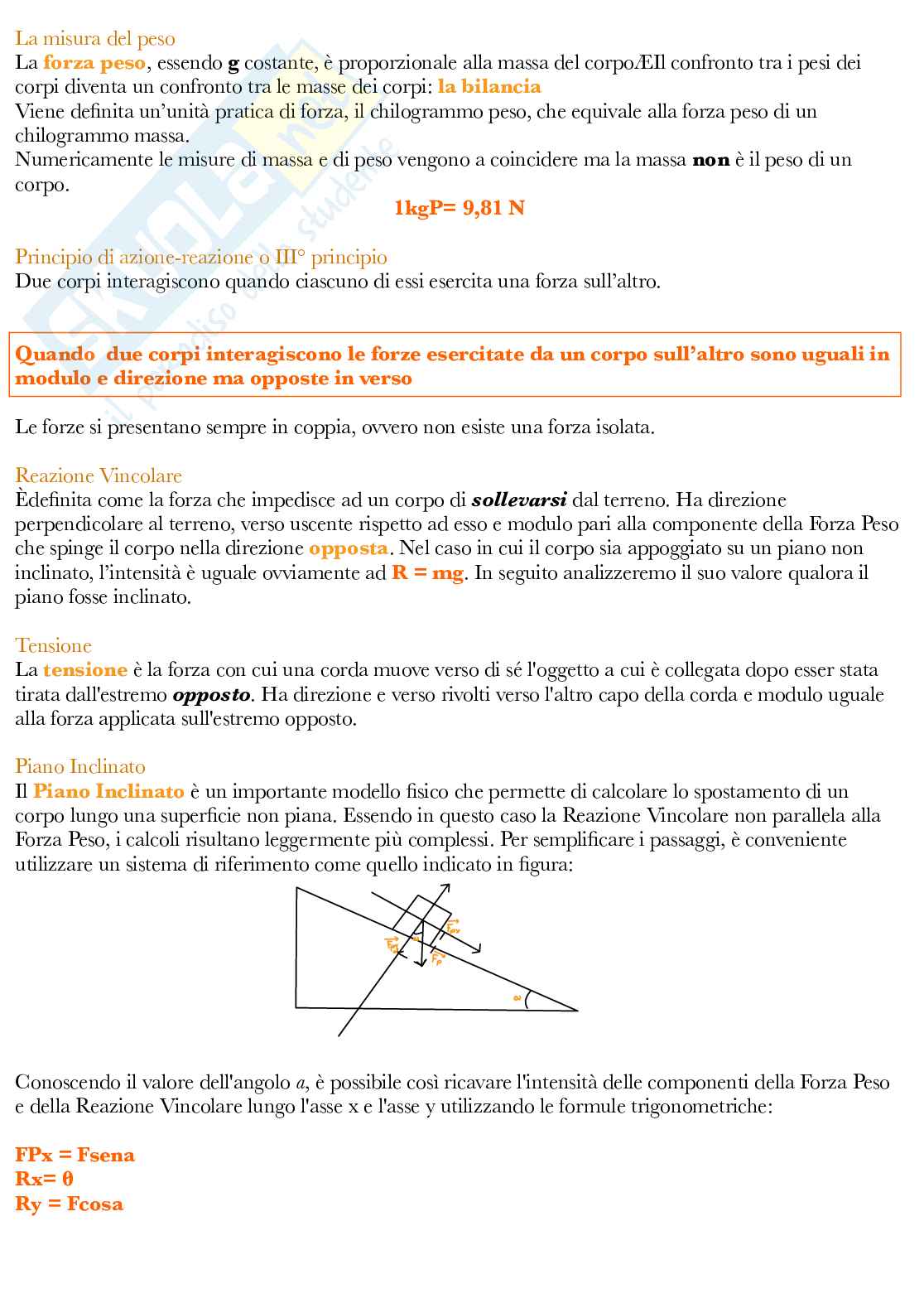 Fisica Pag. 21