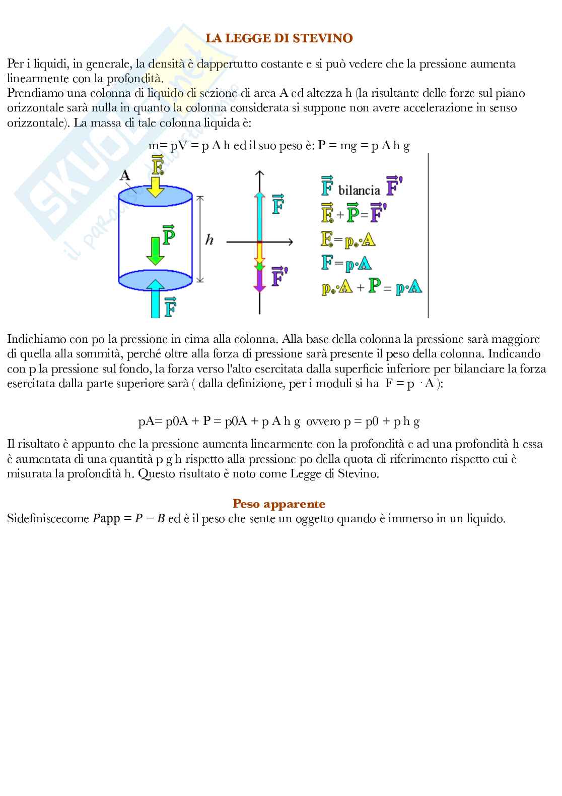 Fisica Pag. 41