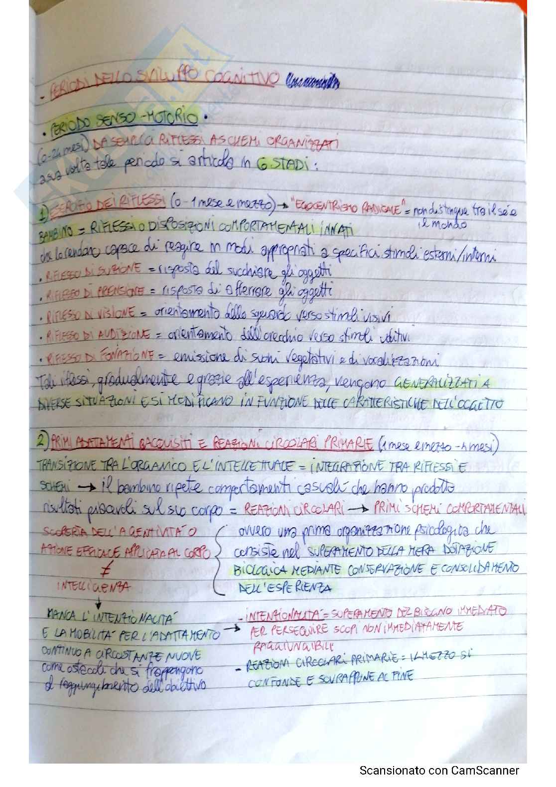 Schemi Psicologia - Teorie dello sviluppo Pag. 31