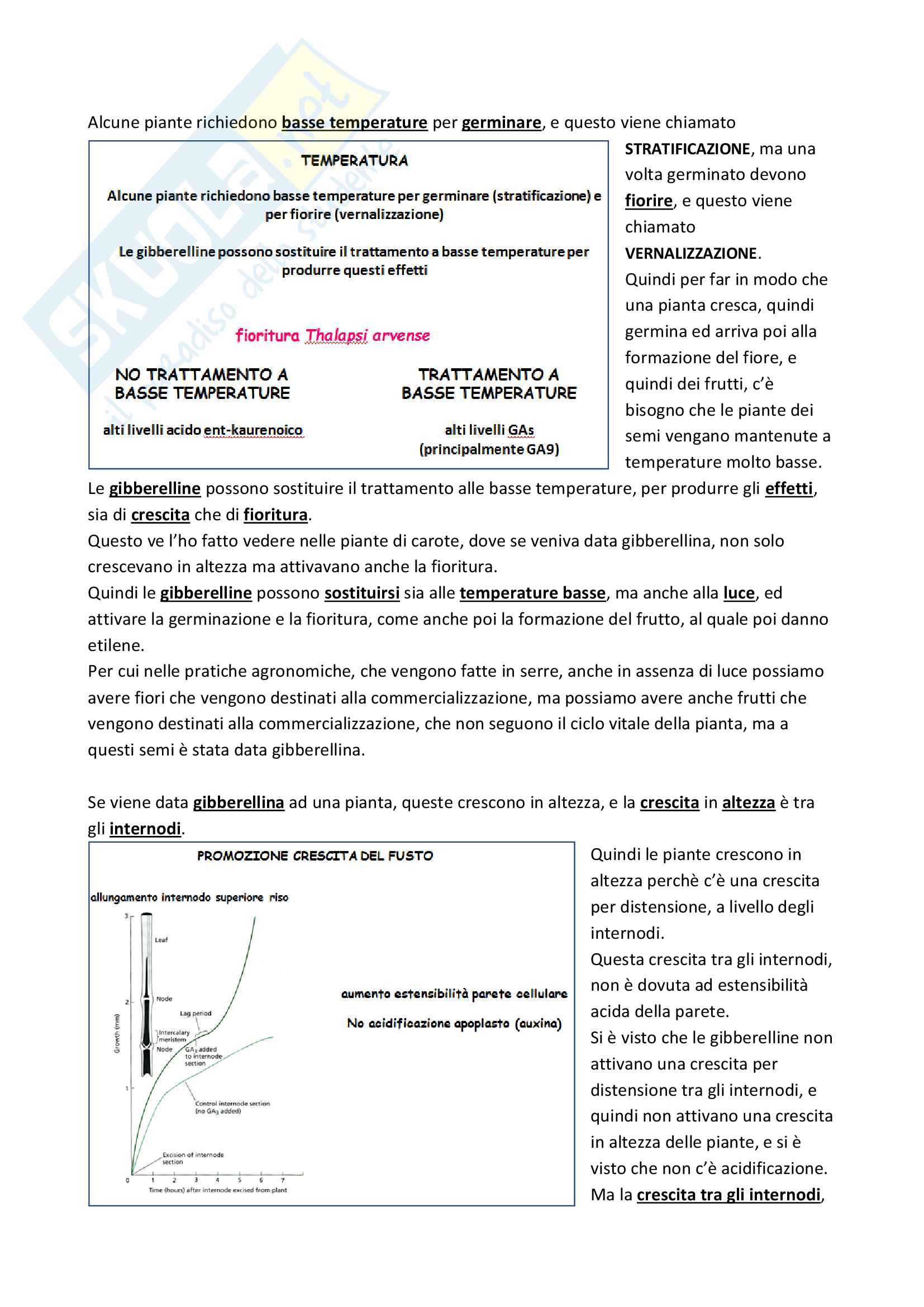 15) Lezione Gibberelline Pag. 26