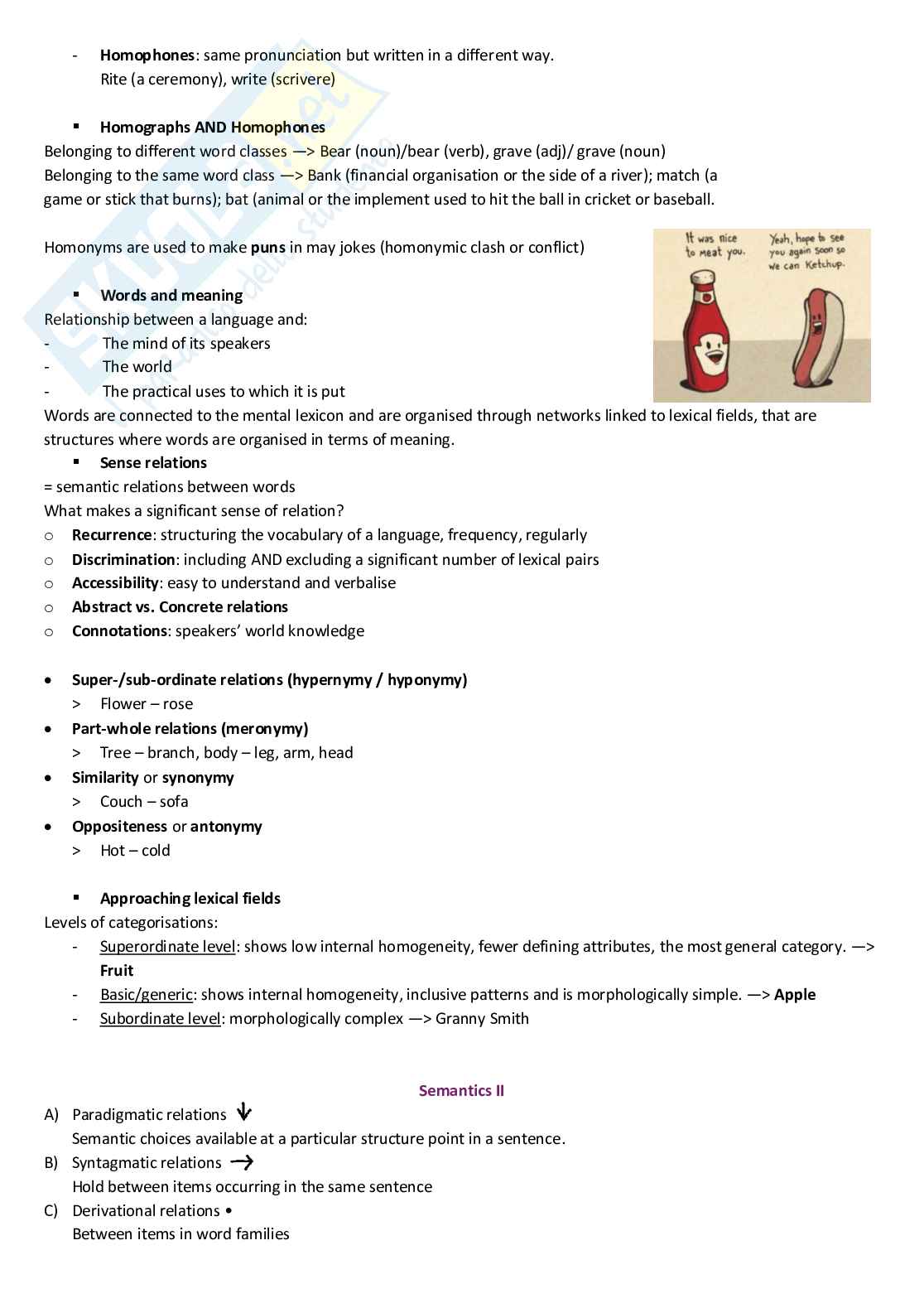 Lingua inglese 2 Pag. 26