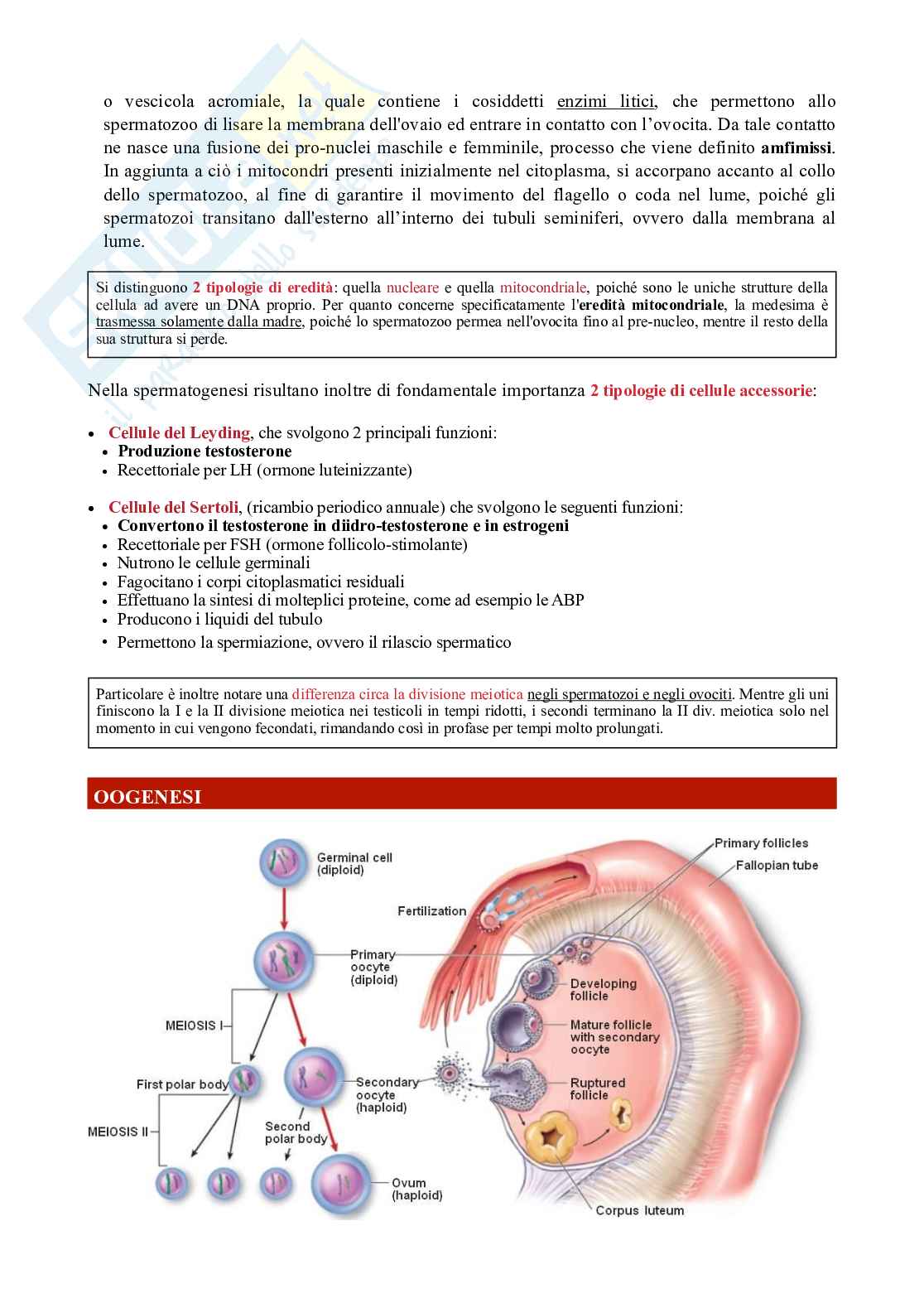 Biologia della sessualità Pag. 11