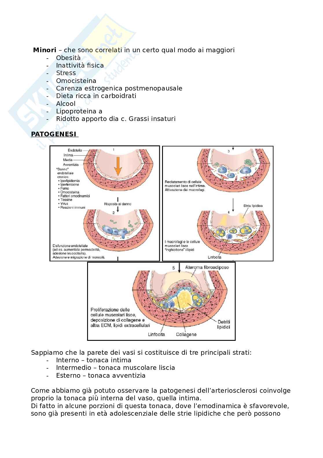 Arteriosclerosi Pag. 2
