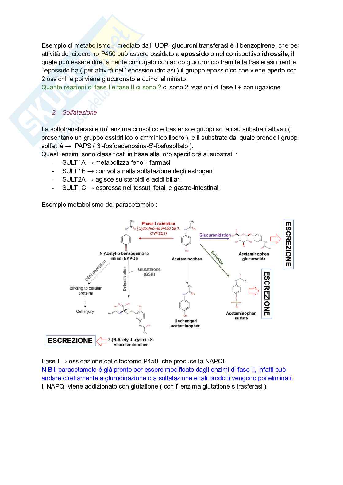 Reazioni di fase 2 + stress ossidativo come strumento di biomonitoraggio Pag. 2