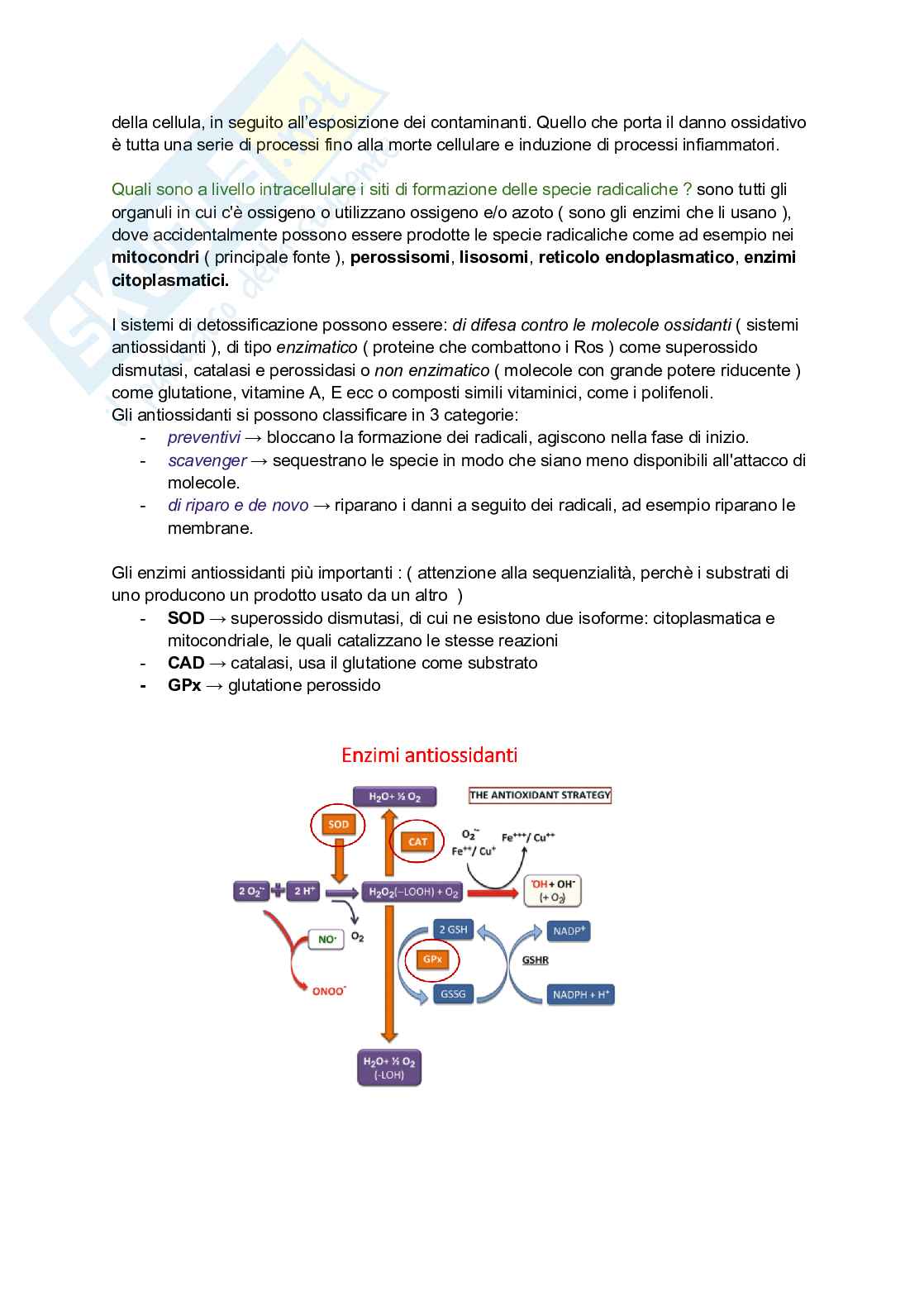 Reazioni di fase 2 + stress ossidativo come strumento di biomonitoraggio Pag. 6
