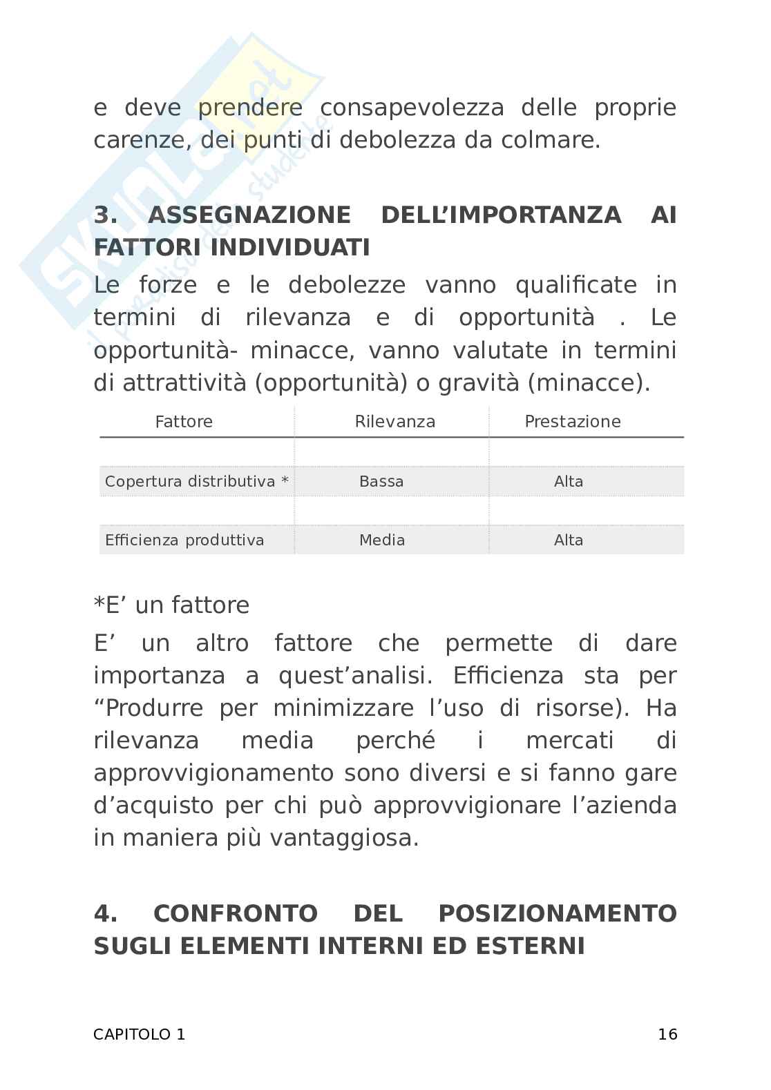 Strategie e politiche aziendali  Pag. 16