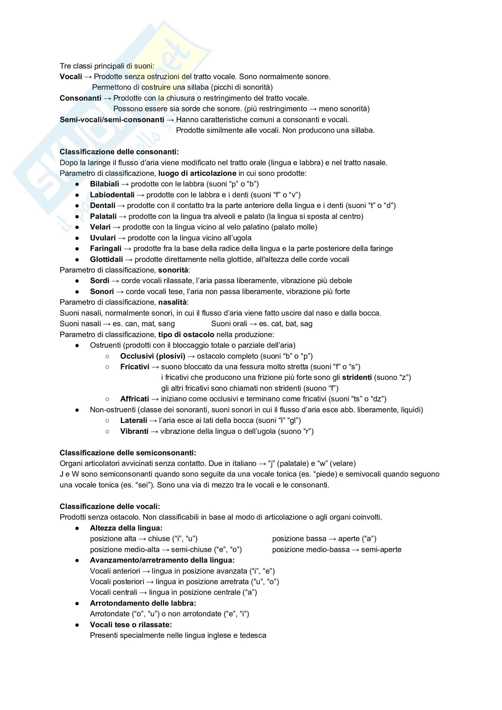 Appunti Riassuntivi - Introduzione alla Linguistica Pag. 6