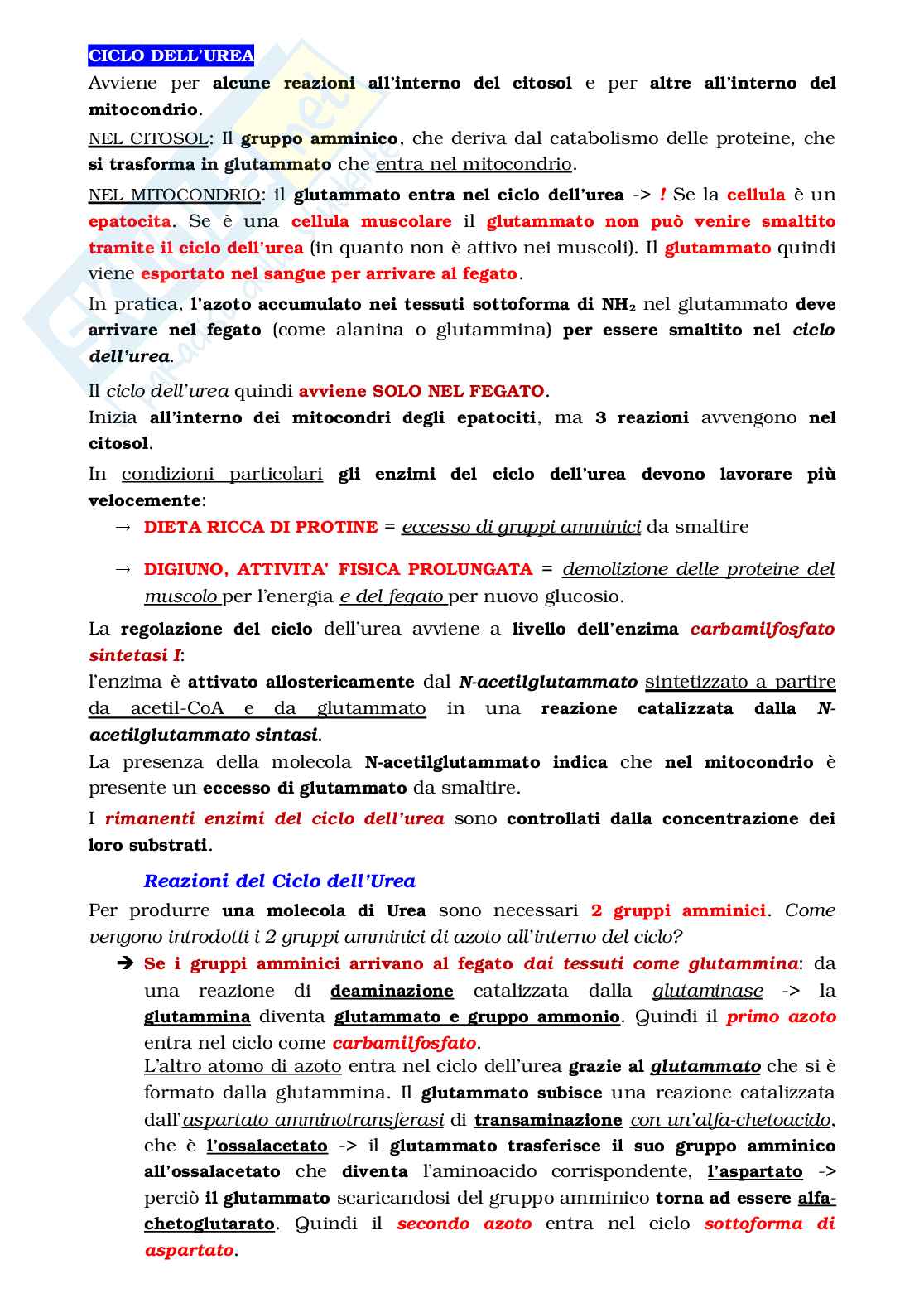 Biochimica - parte 2 Pag. 1