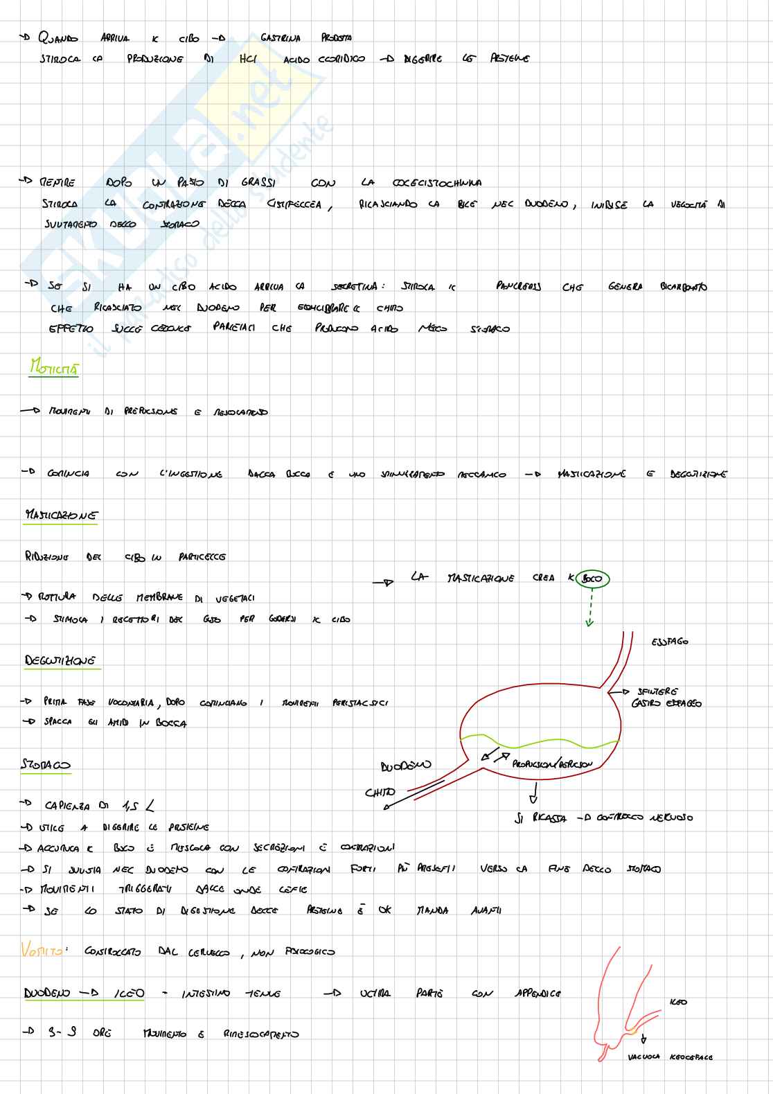Appunti Fisiologia - parte 2 Pag. 16