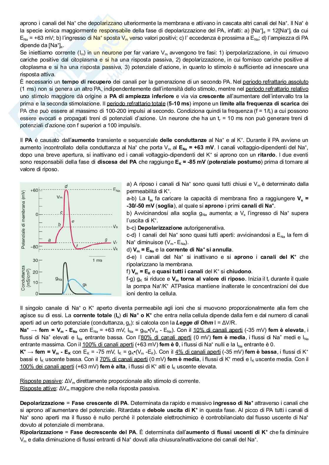 Appunti di base di Fisiologia Pag. 6