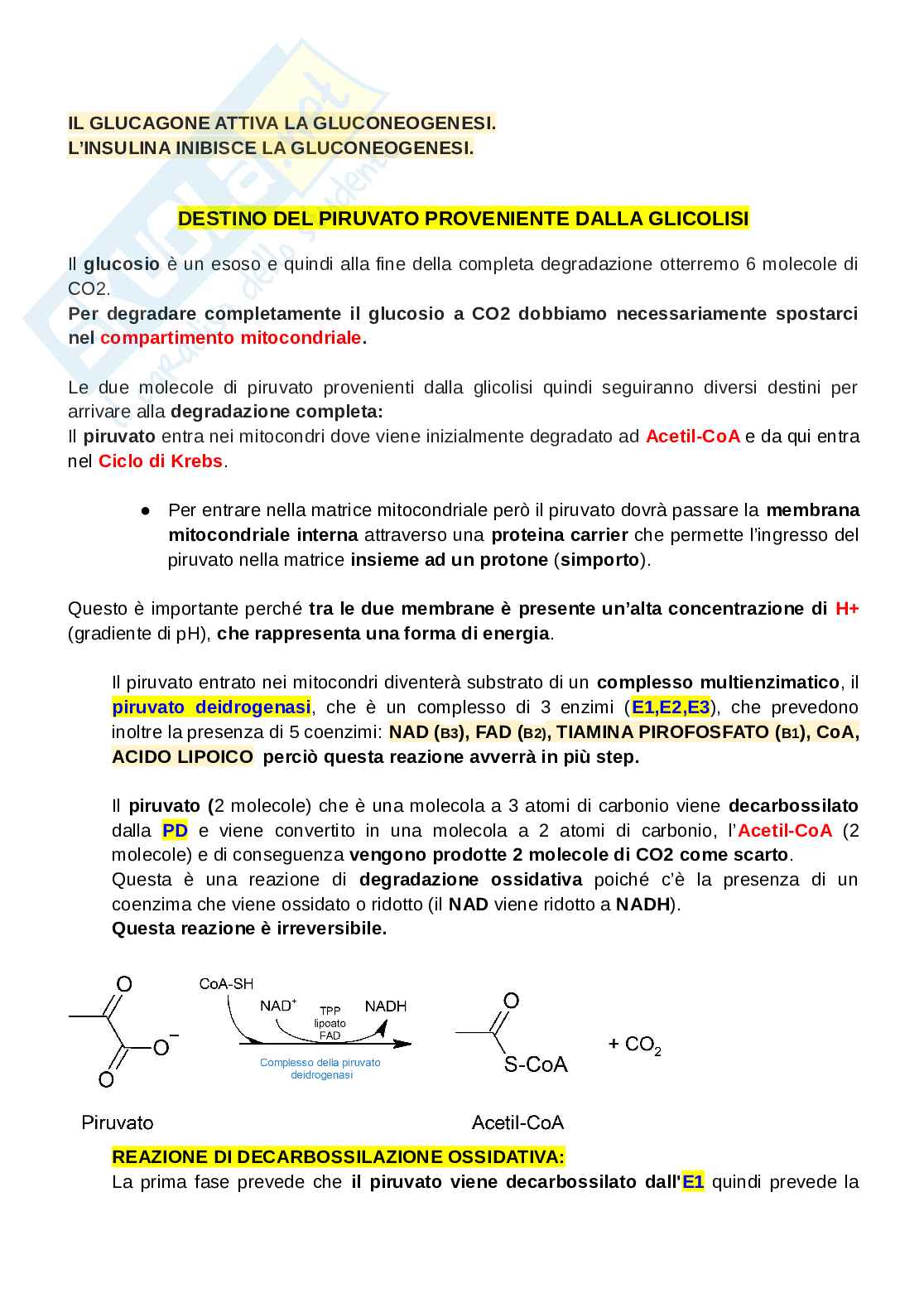 Riassunto esame Biologia umana , Prof. Pacelli Consiglia, libro consigliato Biochimica per le scienze motorie-P. M. Tiidus, A. R. Tupling, M. E. Houston, C.Pacelli- UTET, M. Tiidus, A. R. Tupling, M. E. Houston, C.Pacelli- UTET Pag. 61
