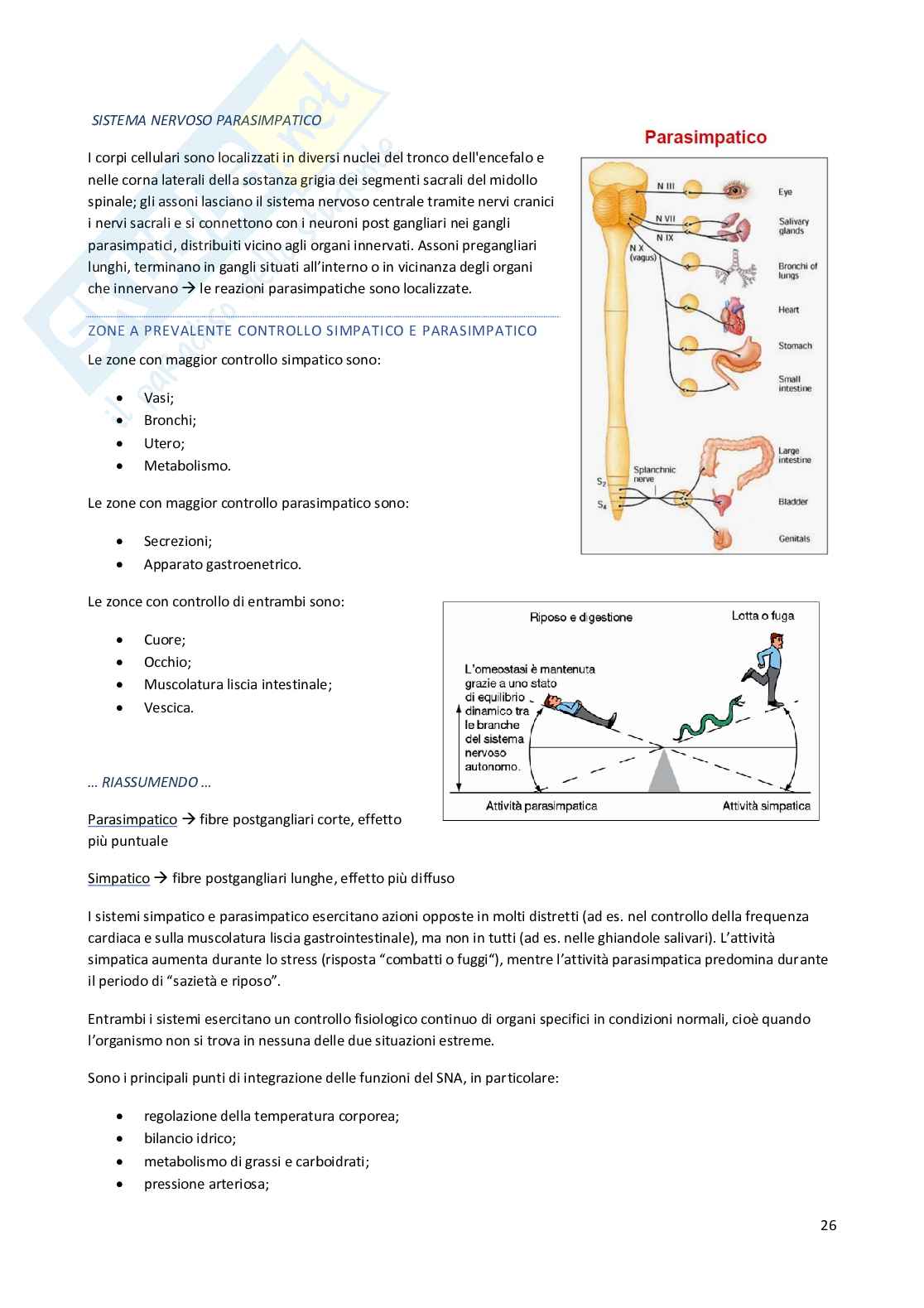 Elementi di Fisiologia Pag. 26