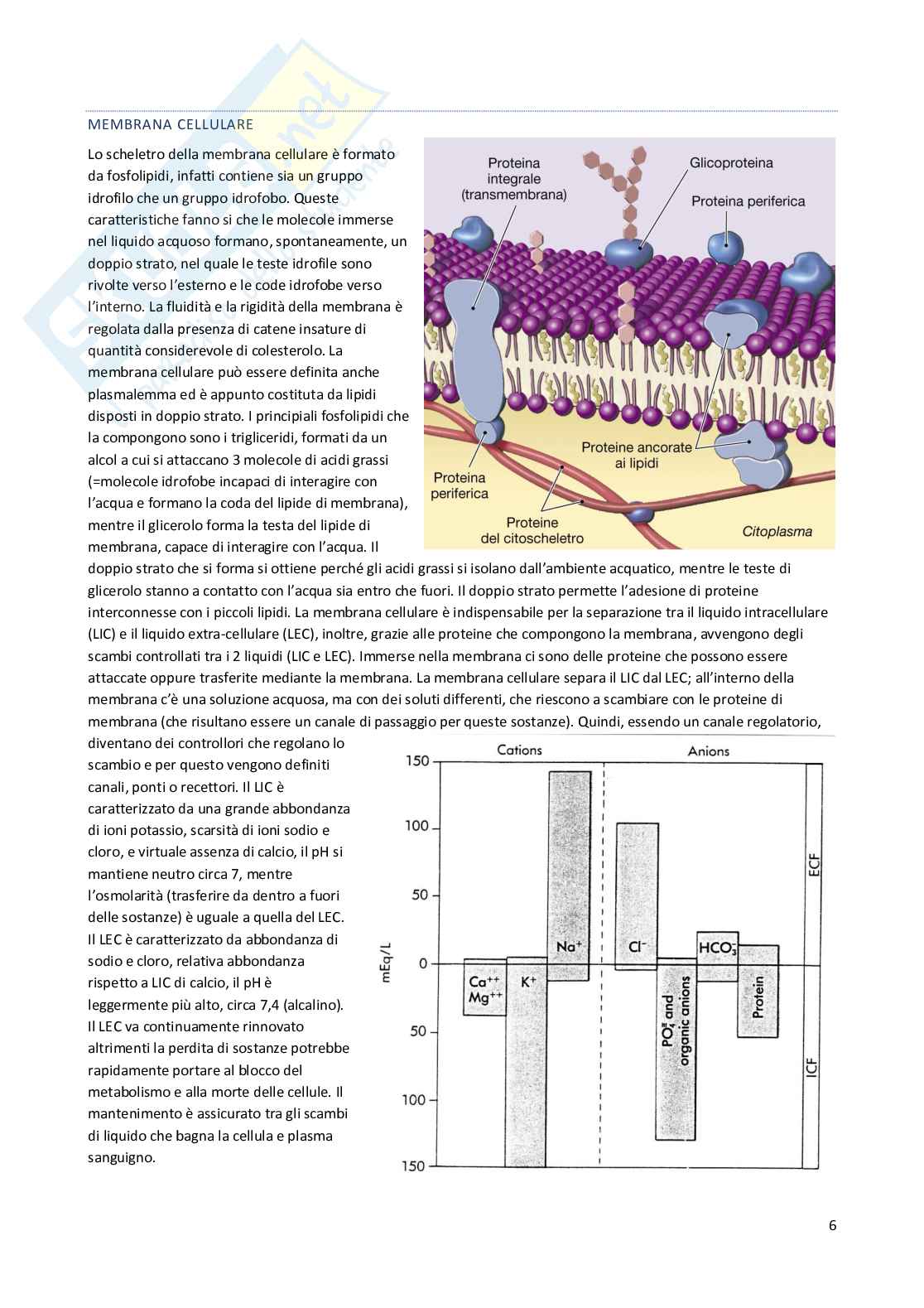 Elementi di Fisiologia Pag. 6