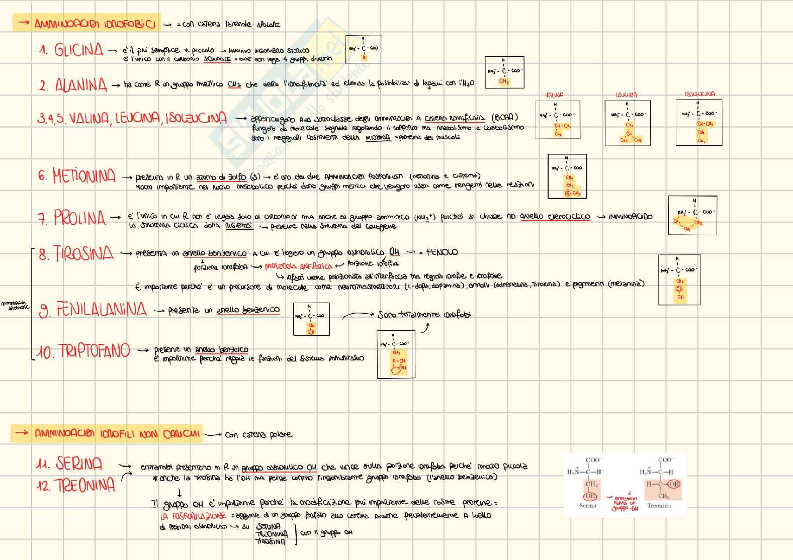 Amminoacidi e proteine Pag. 1