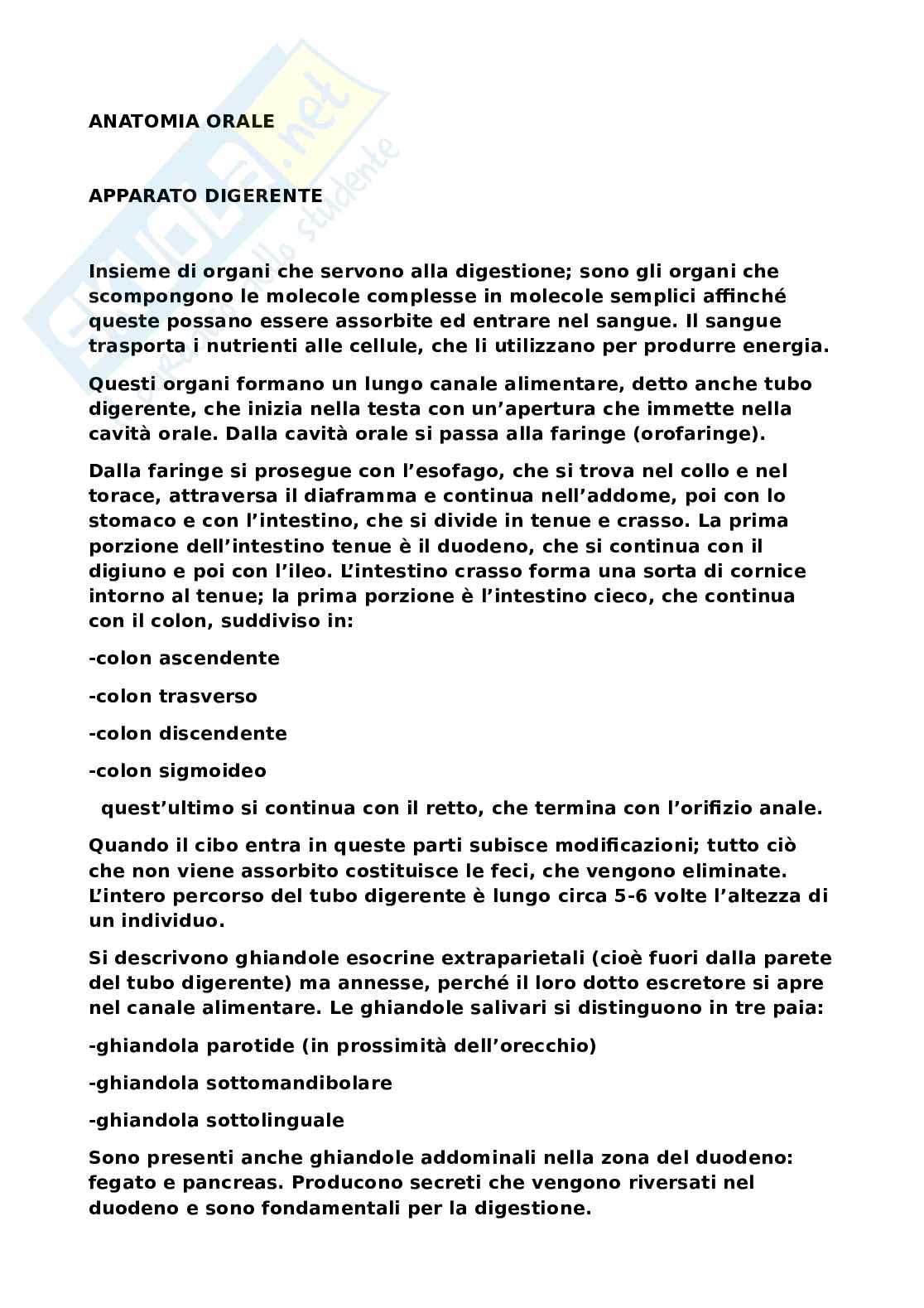 Sistema nervoso Pag. 1