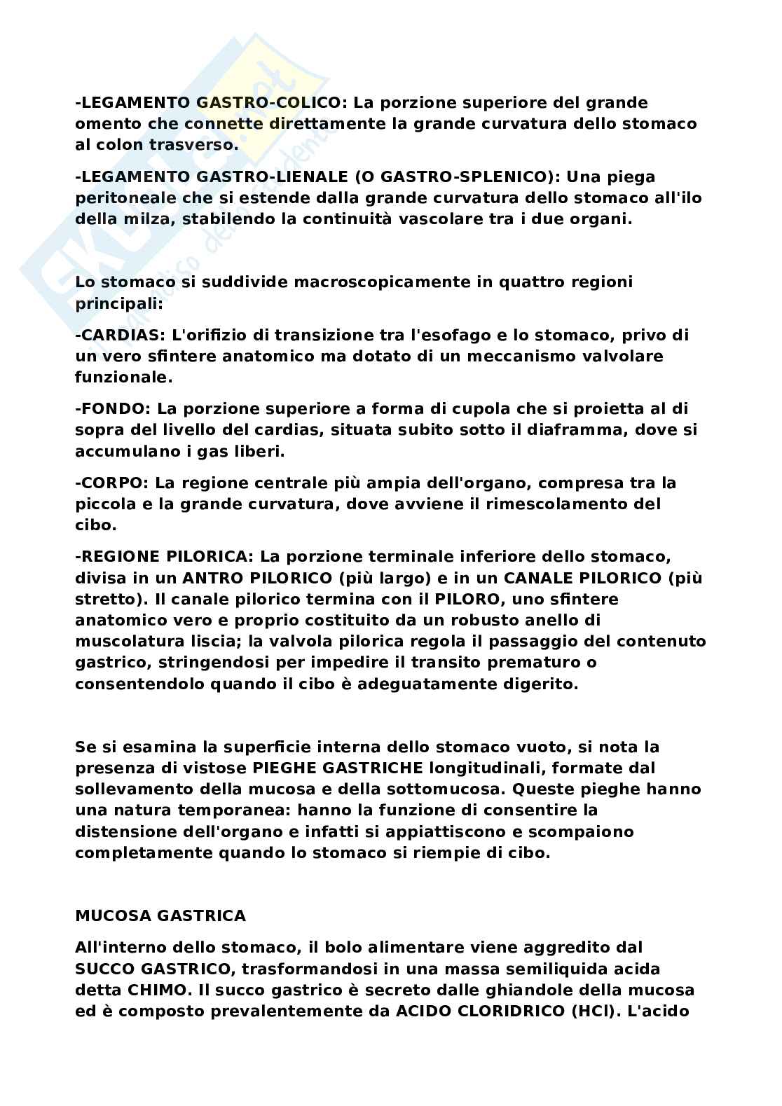 Sistema nervoso Pag. 11