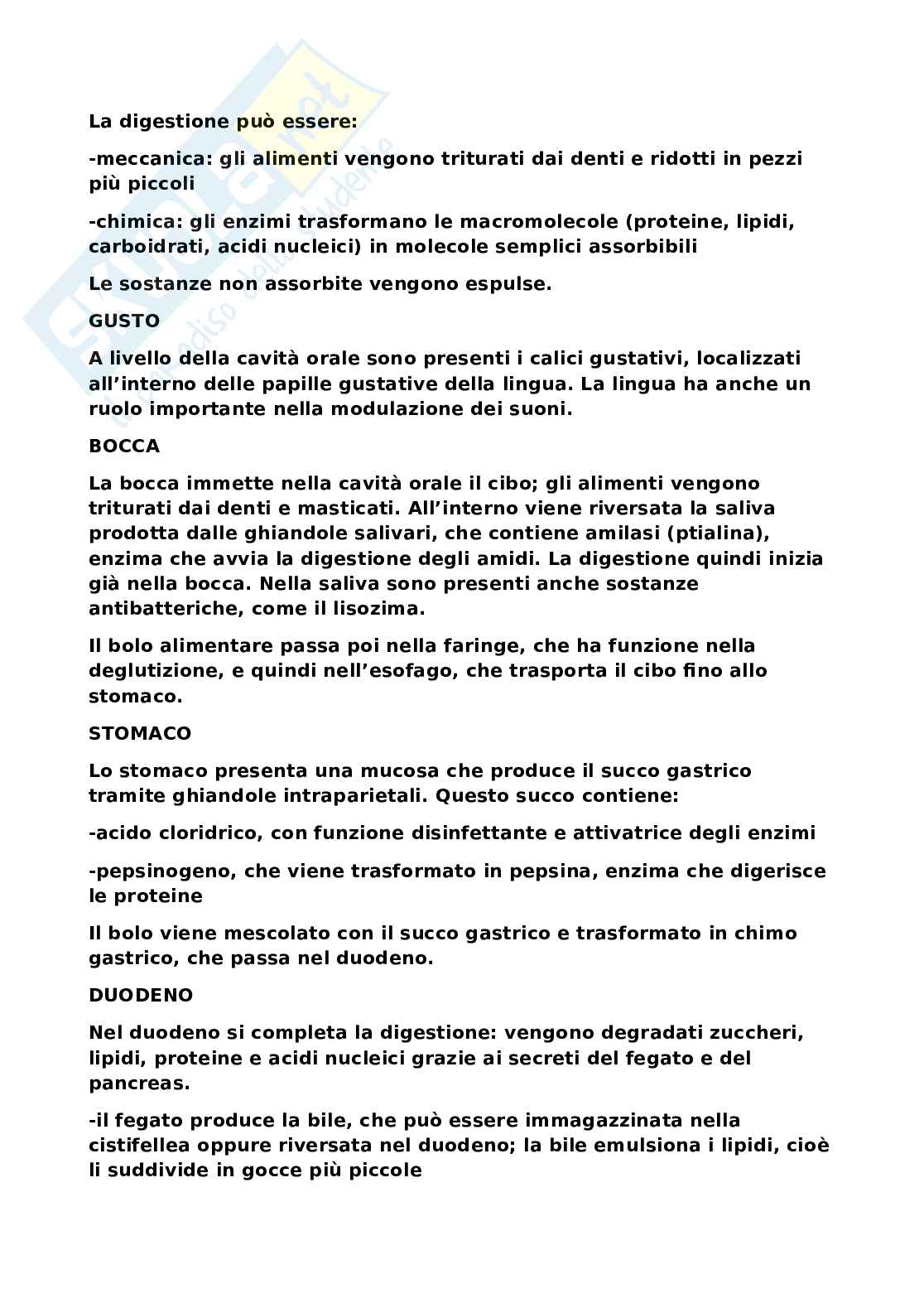 Sistema nervoso Pag. 2