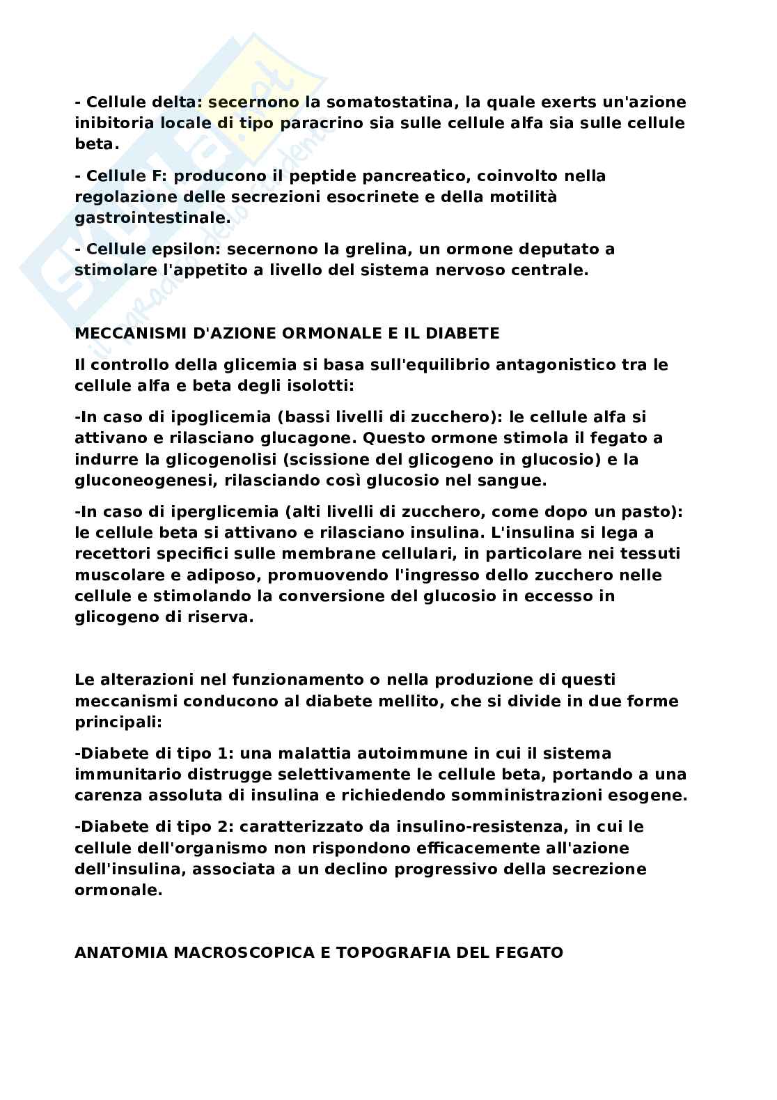 Sistema nervoso Pag. 21