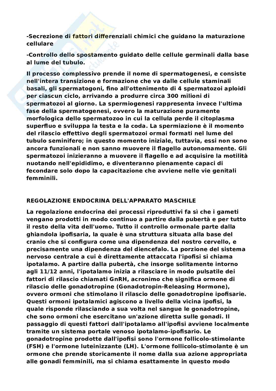 Sistema nervoso Pag. 41