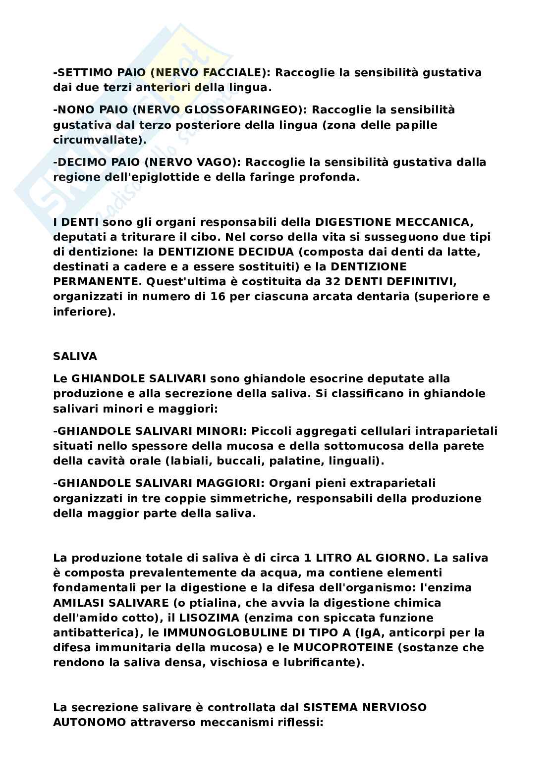 Sistema nervoso Pag. 6