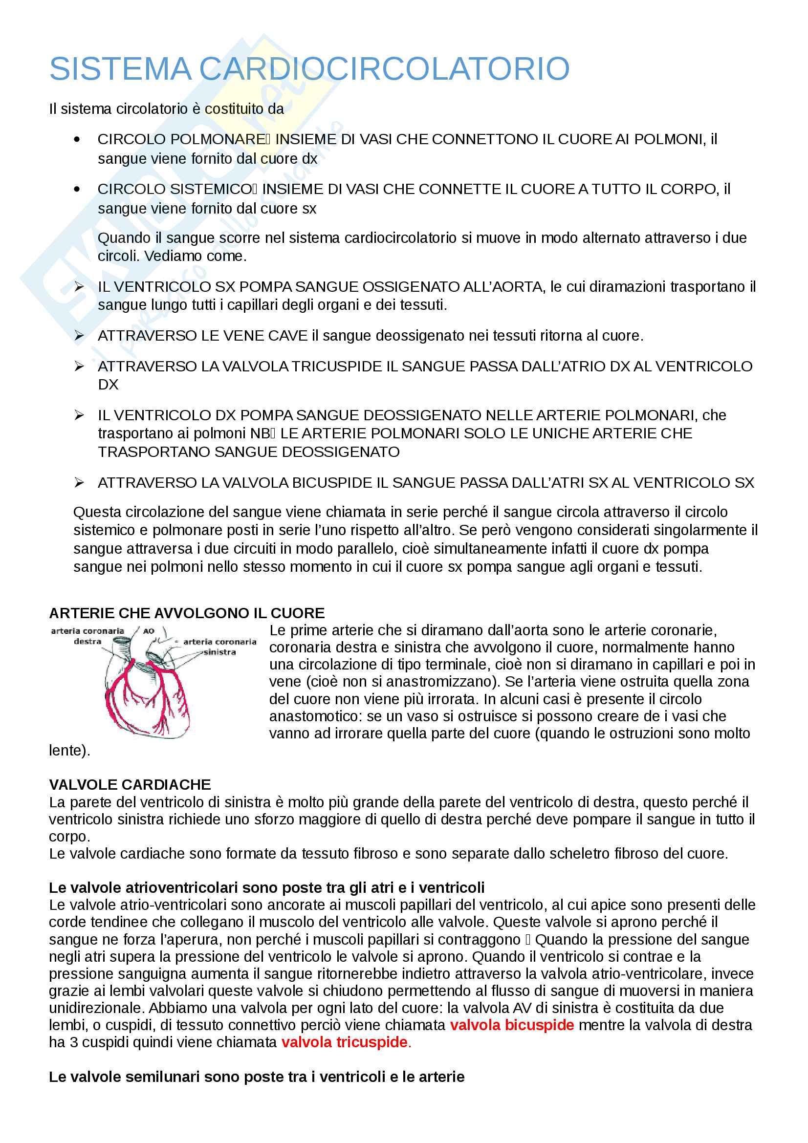 Sistema cardiocircolatorio Pag. 1