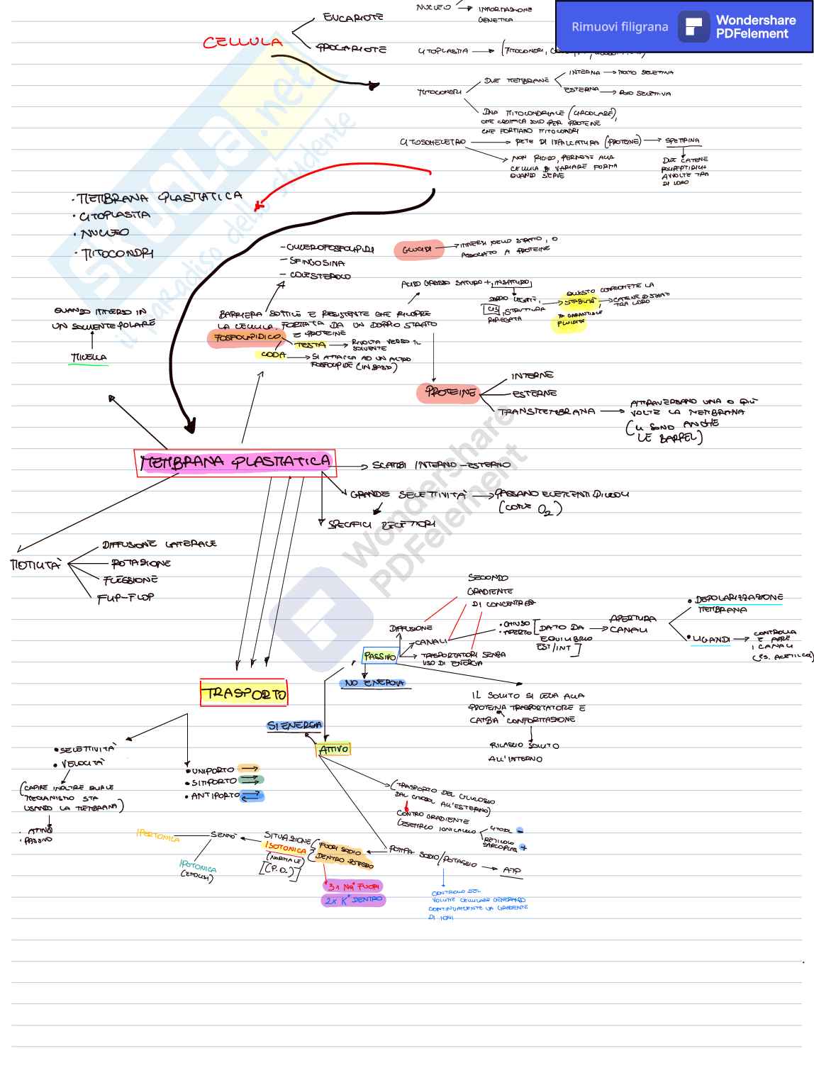 Biochimica Pag. 1