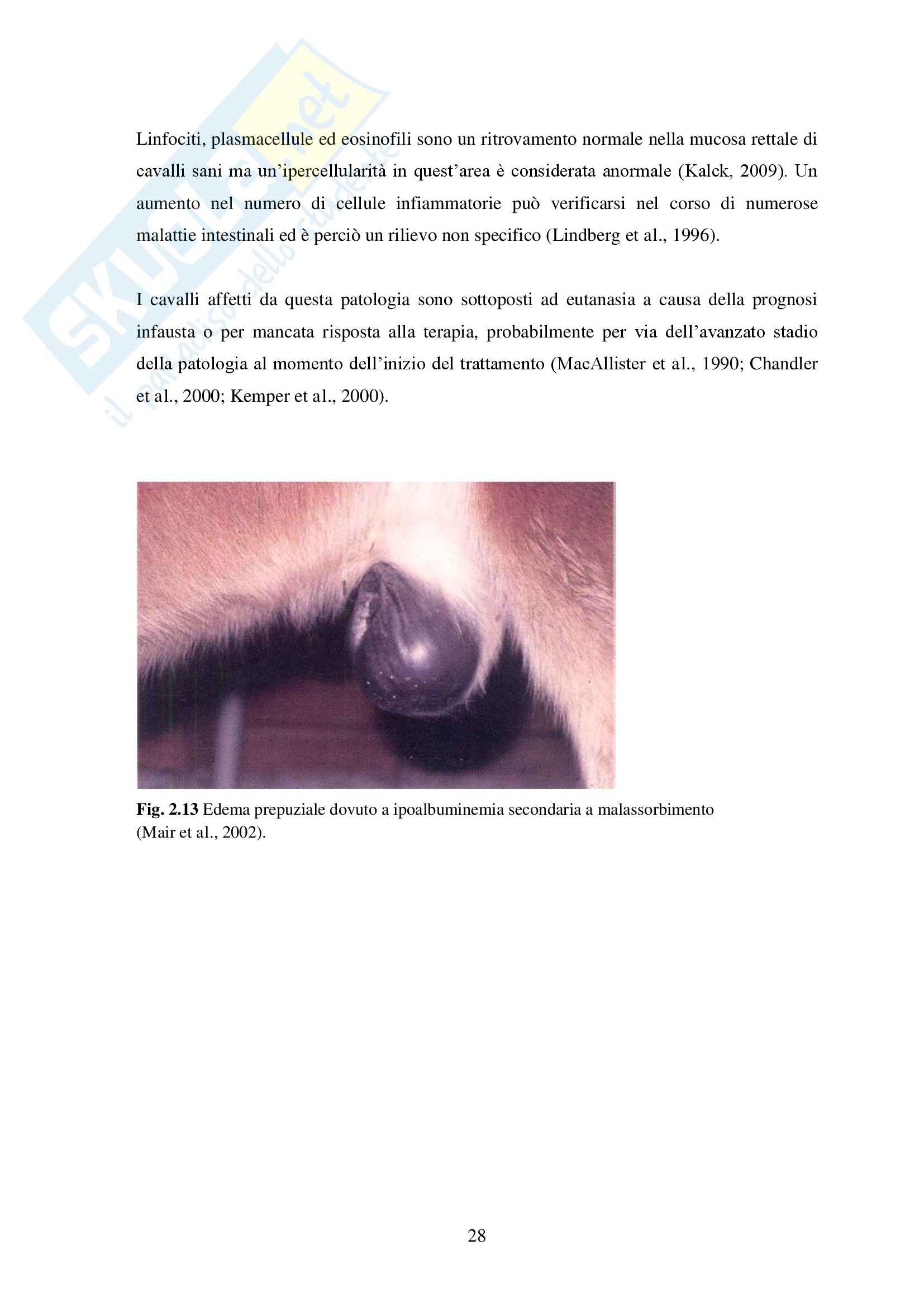 Sindrome da malassorbimento nel cavallo, Clinica medica Pag. 31