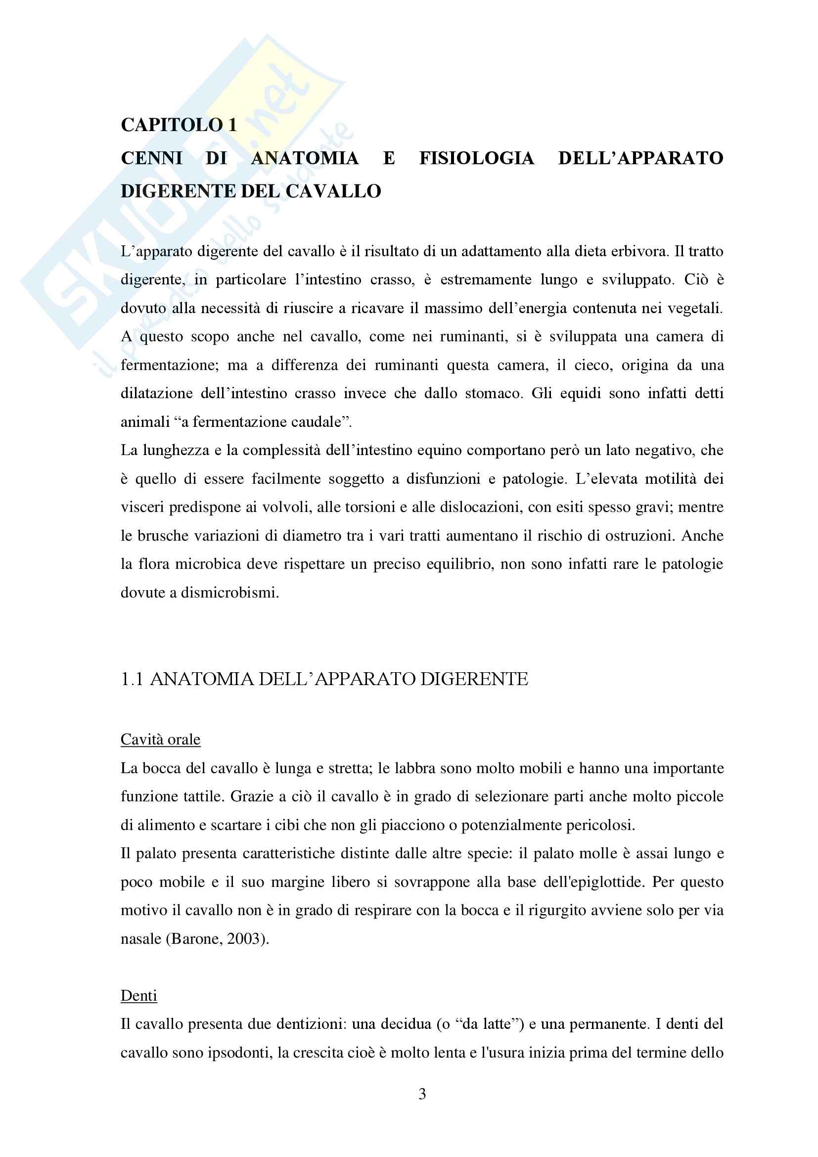 Sindrome da malassorbimento nel cavallo, Clinica medica Pag. 6