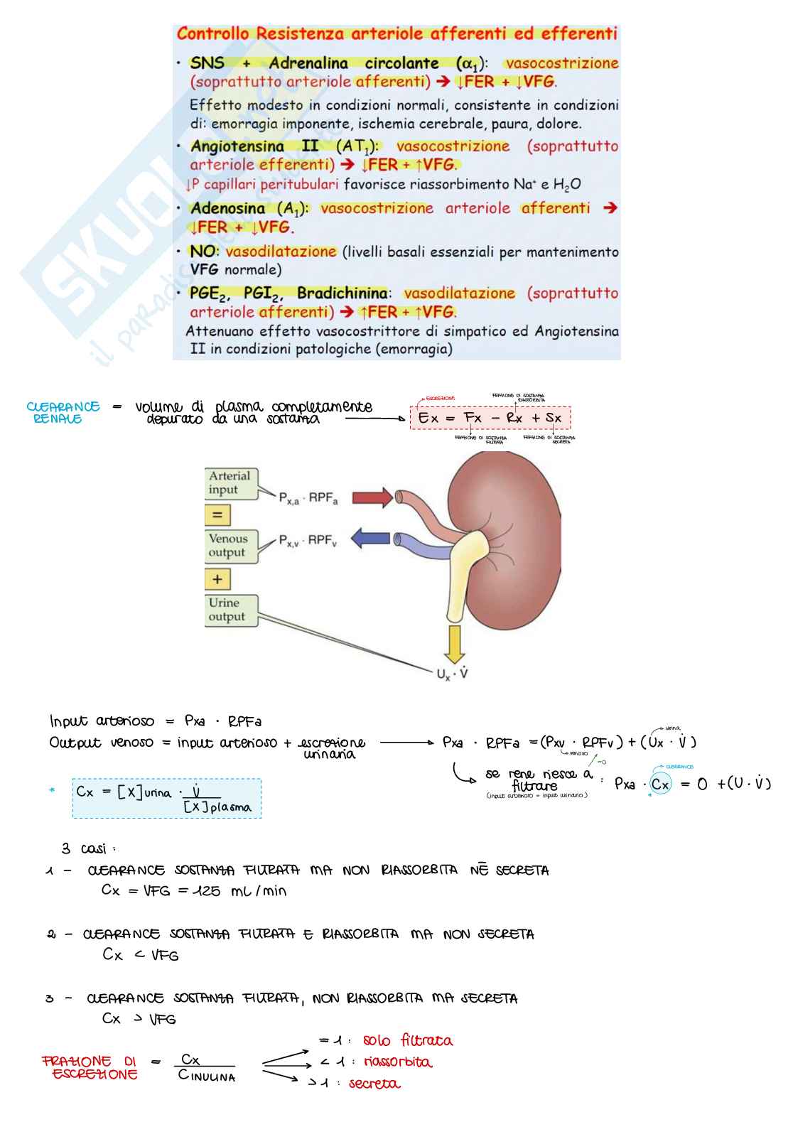 Appunti di Fisiologia B - parte 2 di 2 Pag. 16