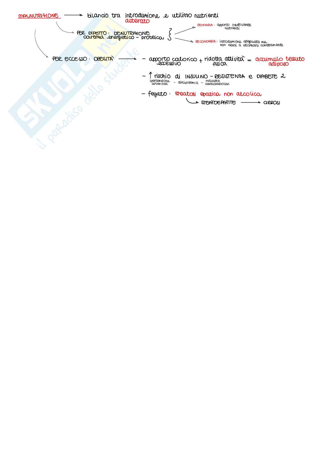 Appunti di Fisiologia B - parte 2 di 2 Pag. 46