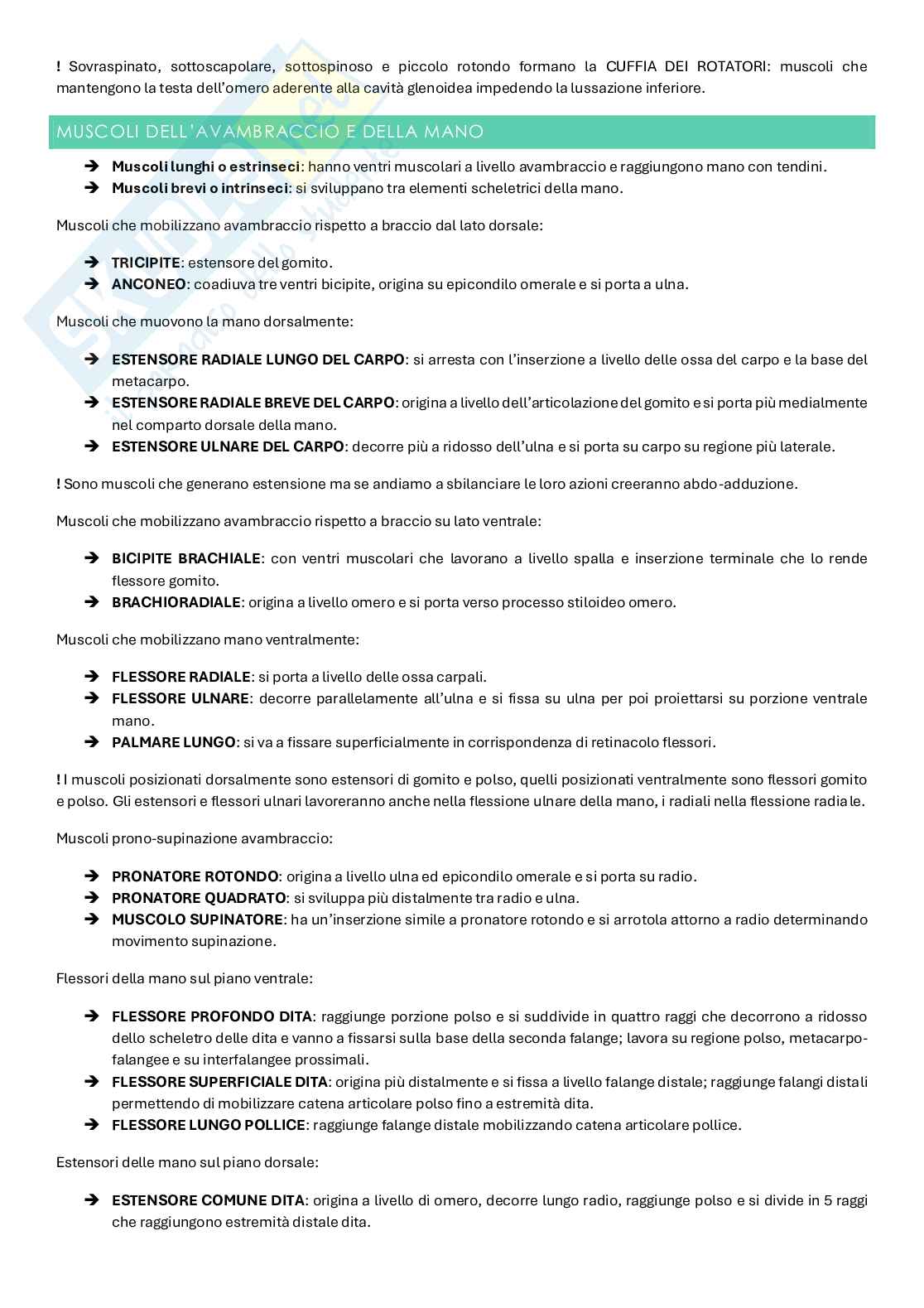 Anatomia umana e speciale Pag. 41