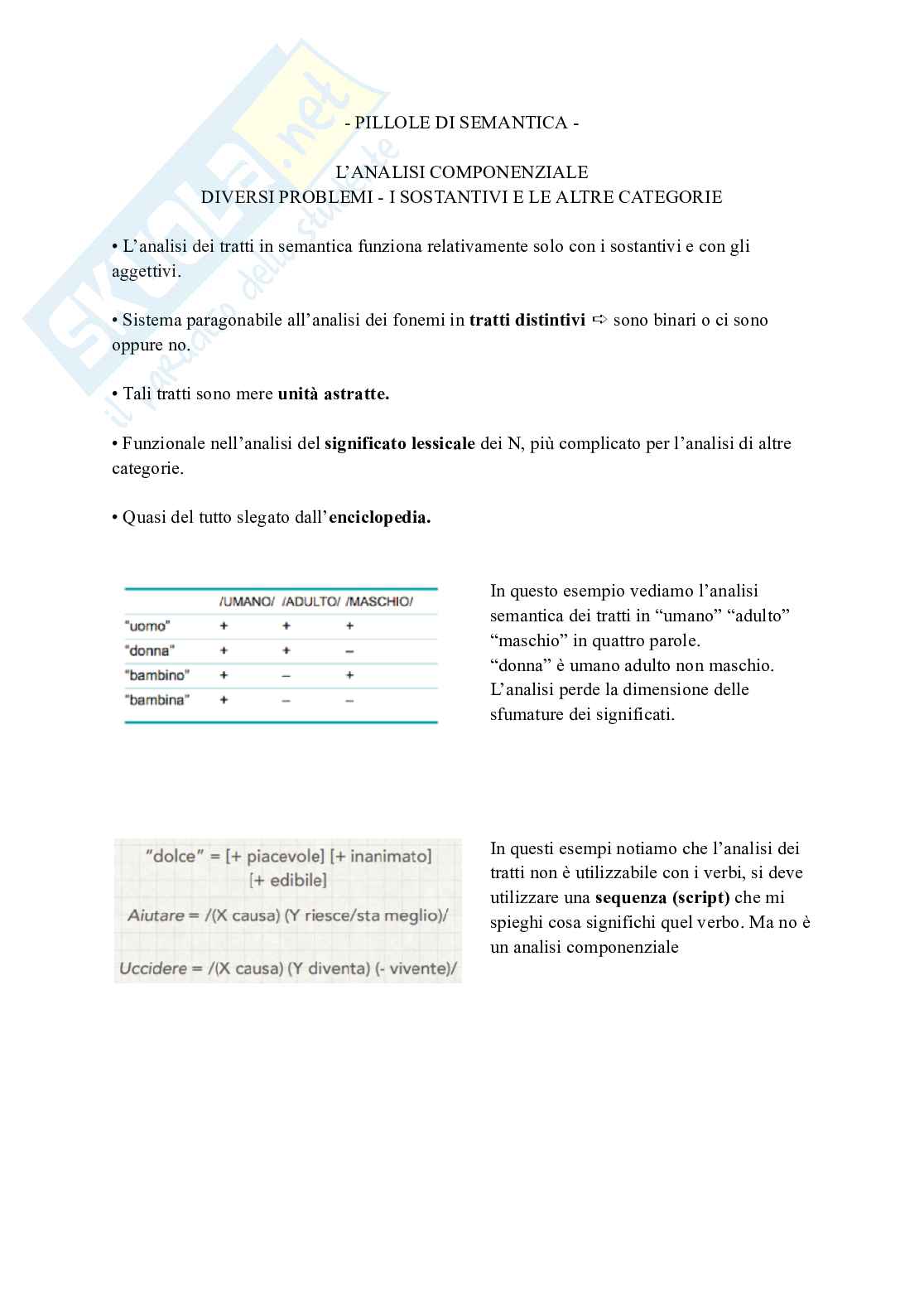 Appunti Linguistica generale Pag. 81