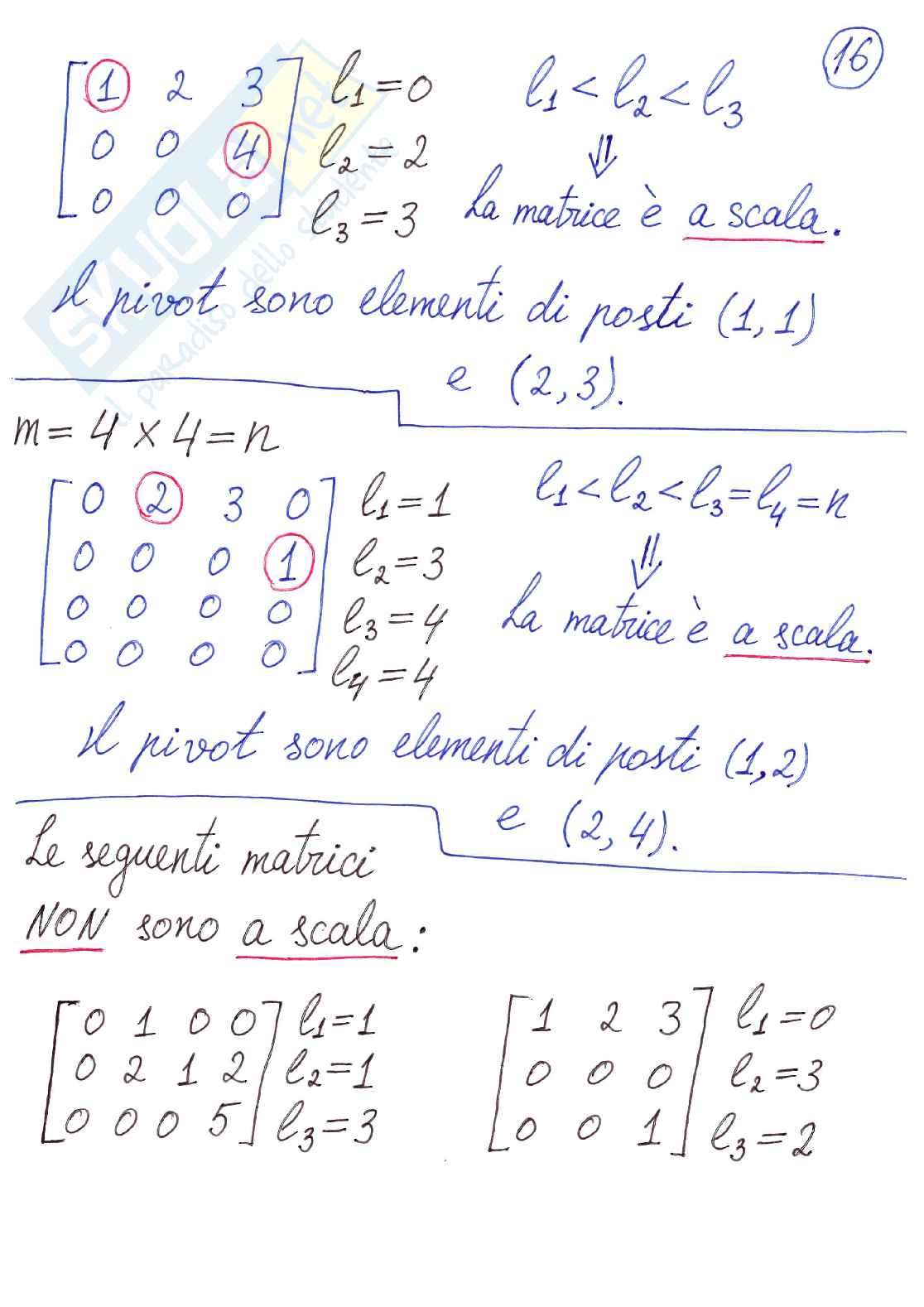 Algebra delle matrici Pag. 16