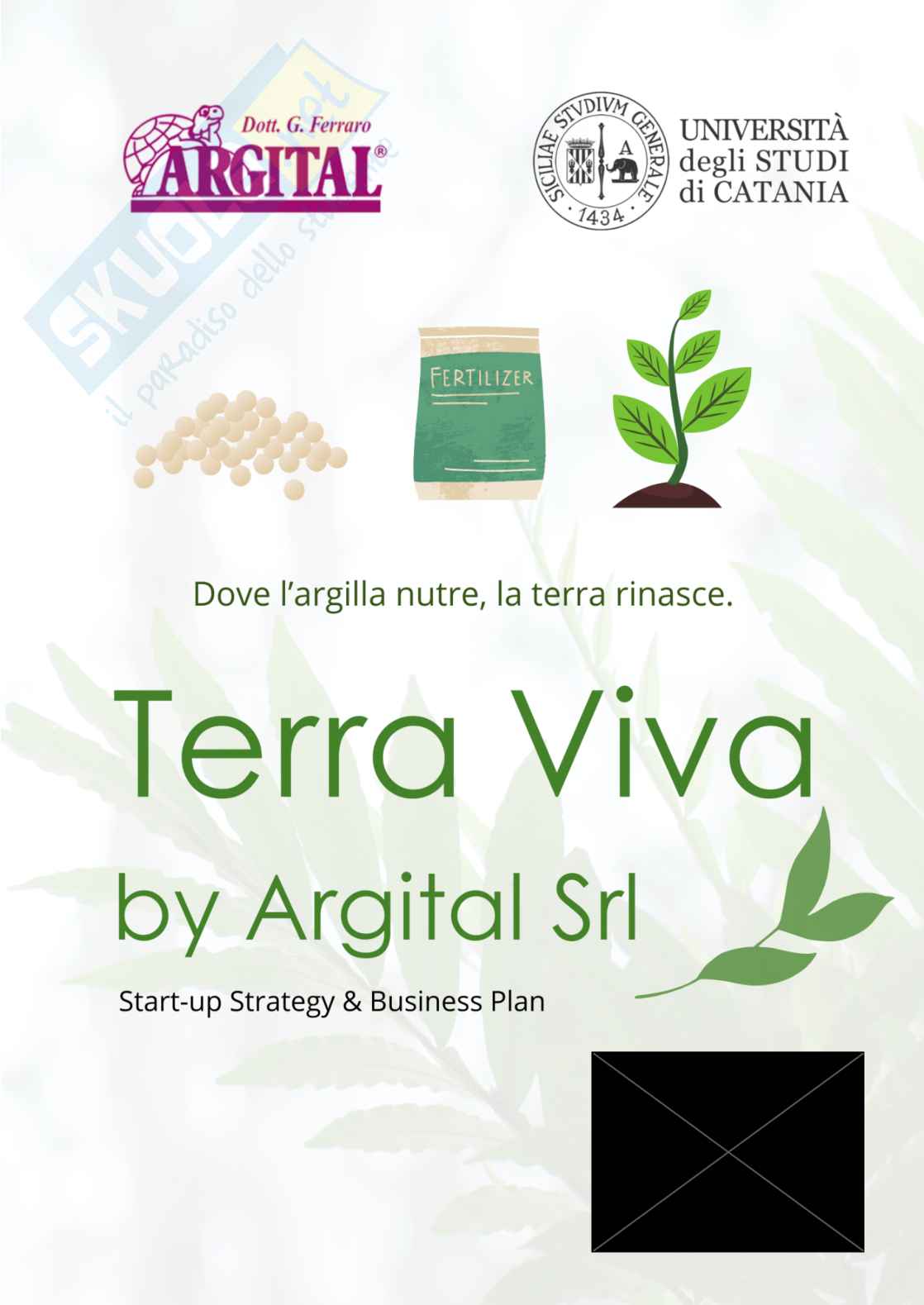 Progetto: di business plan di una startup Pag. 1