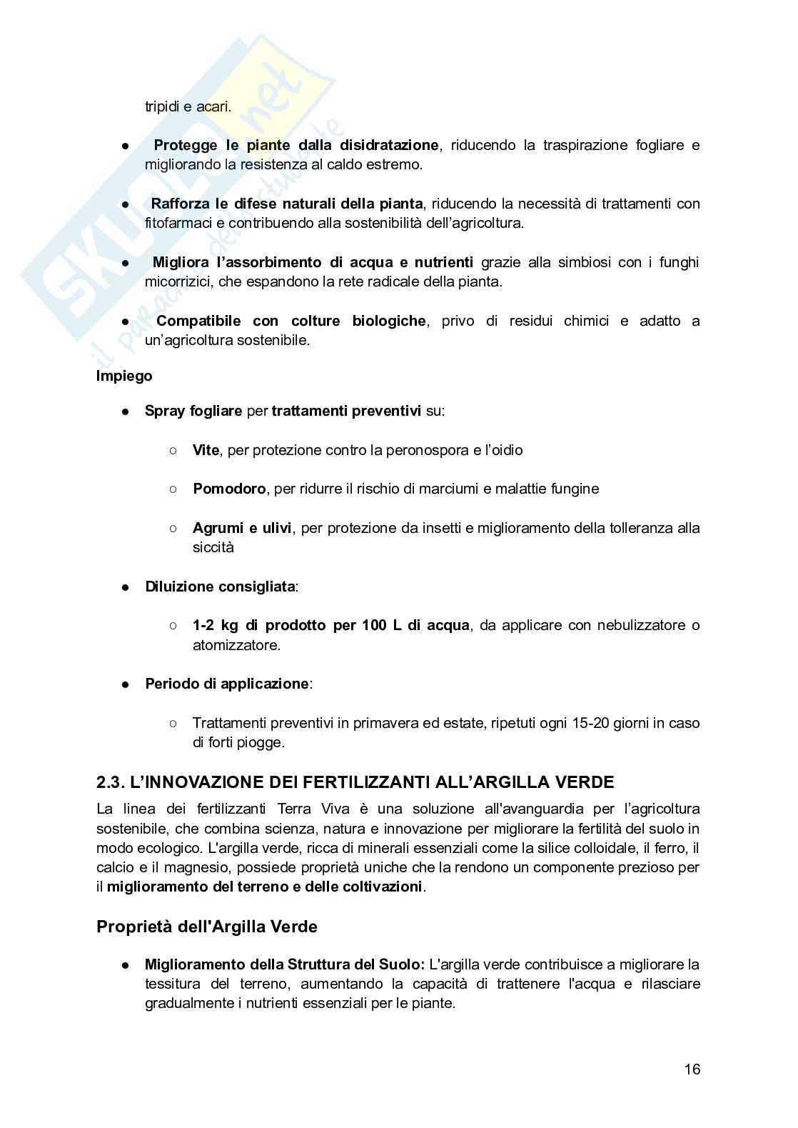 Progetto: di business plan di una startup Pag. 16