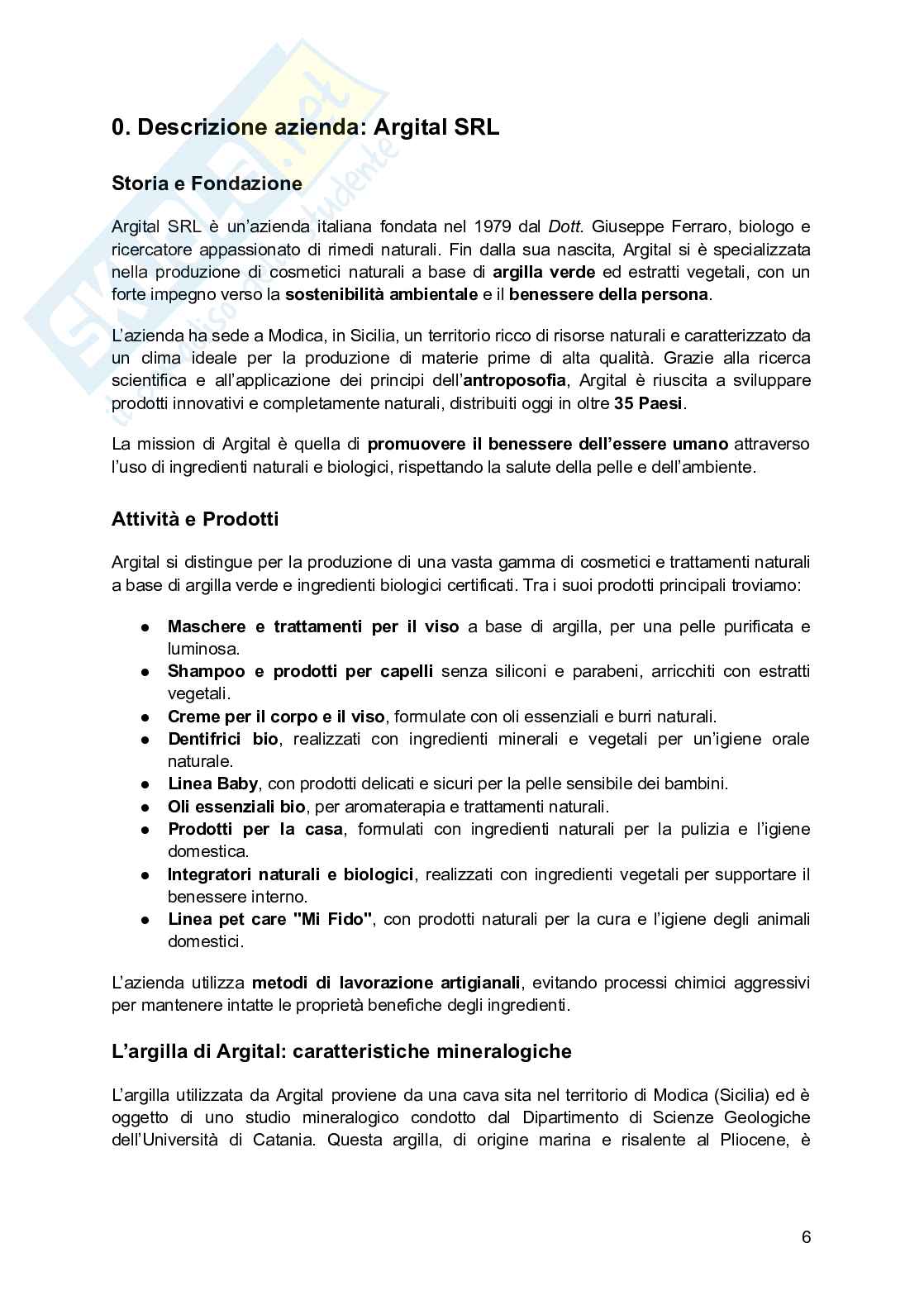 Progetto: di business plan di una startup Pag. 6