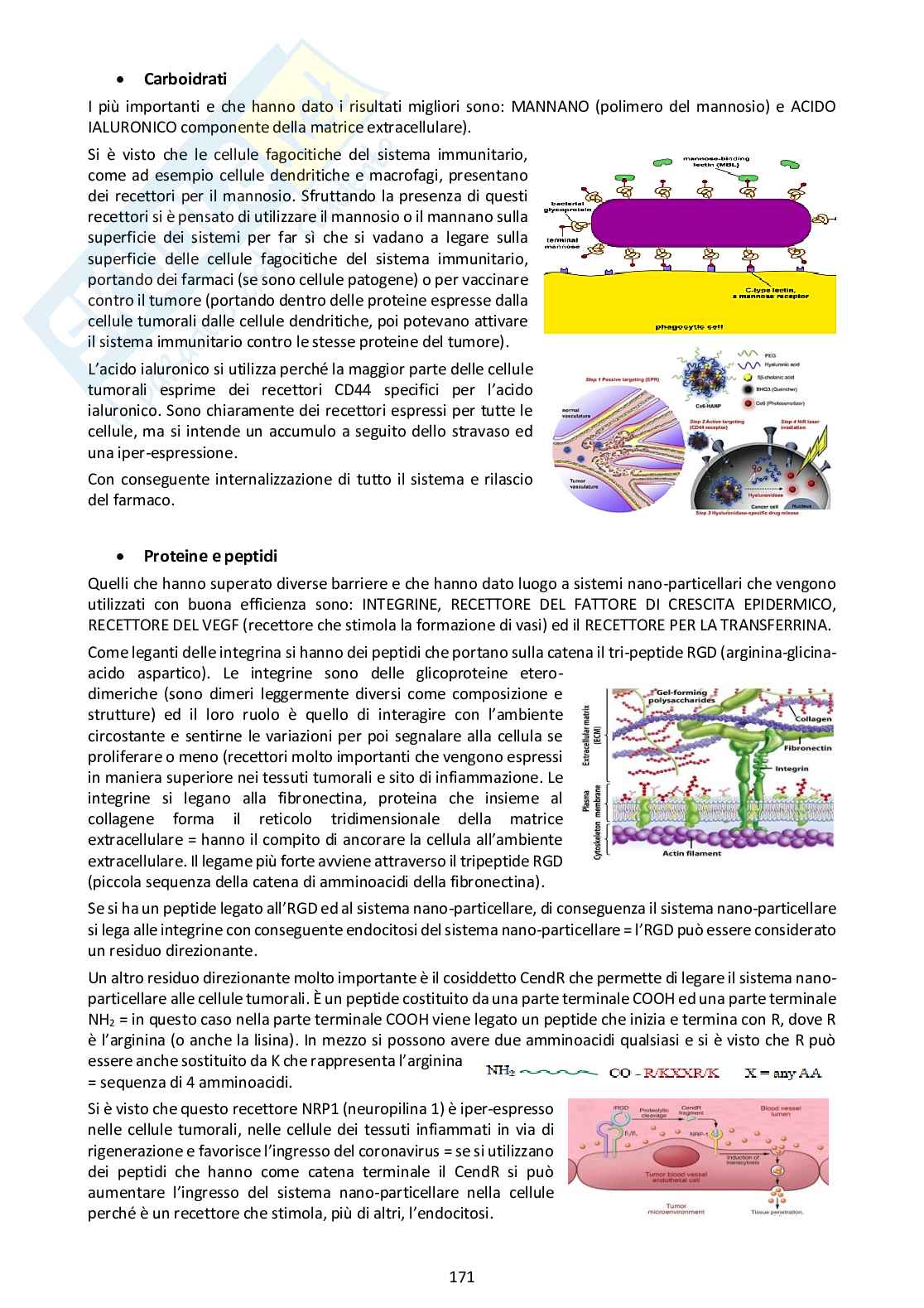Tecnologia e legislazione farmaceutiche II - parte 2 Pag. 76