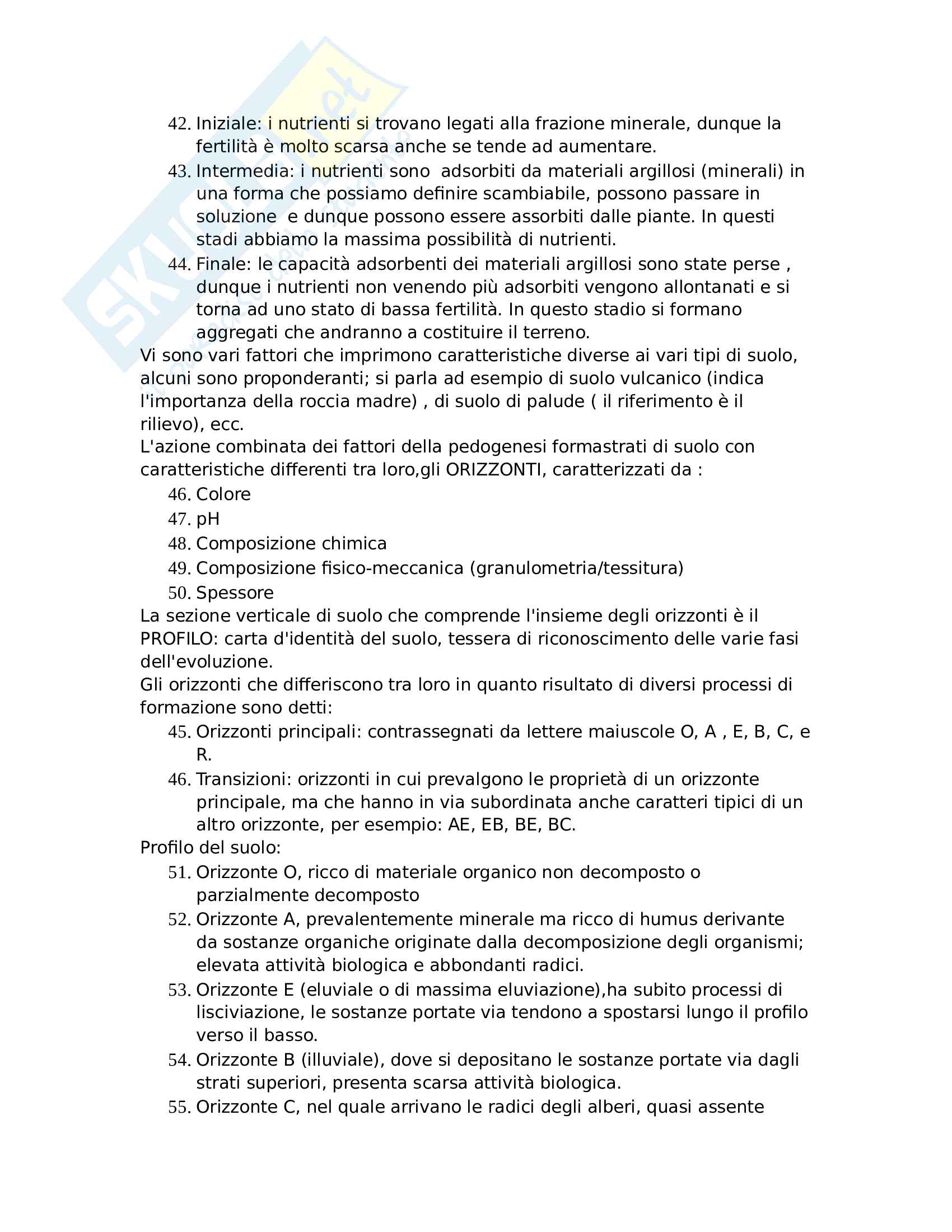 Appunti chimica del suolo Pag. 11