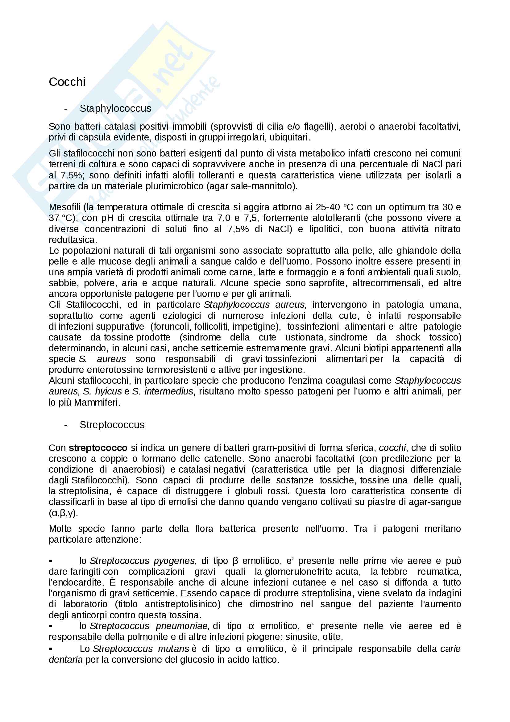 Microbiologia I Pag. 11