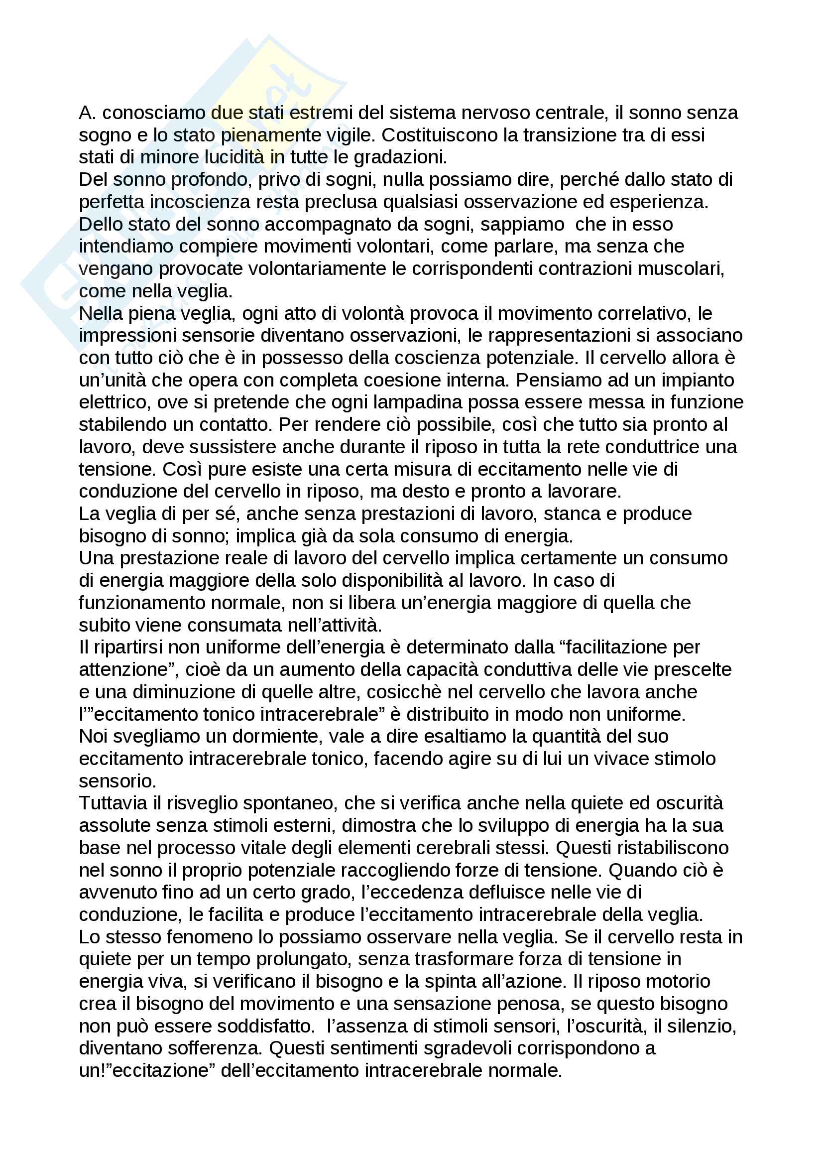 Riassunto dell'esame di filosofia morale Pag. 6