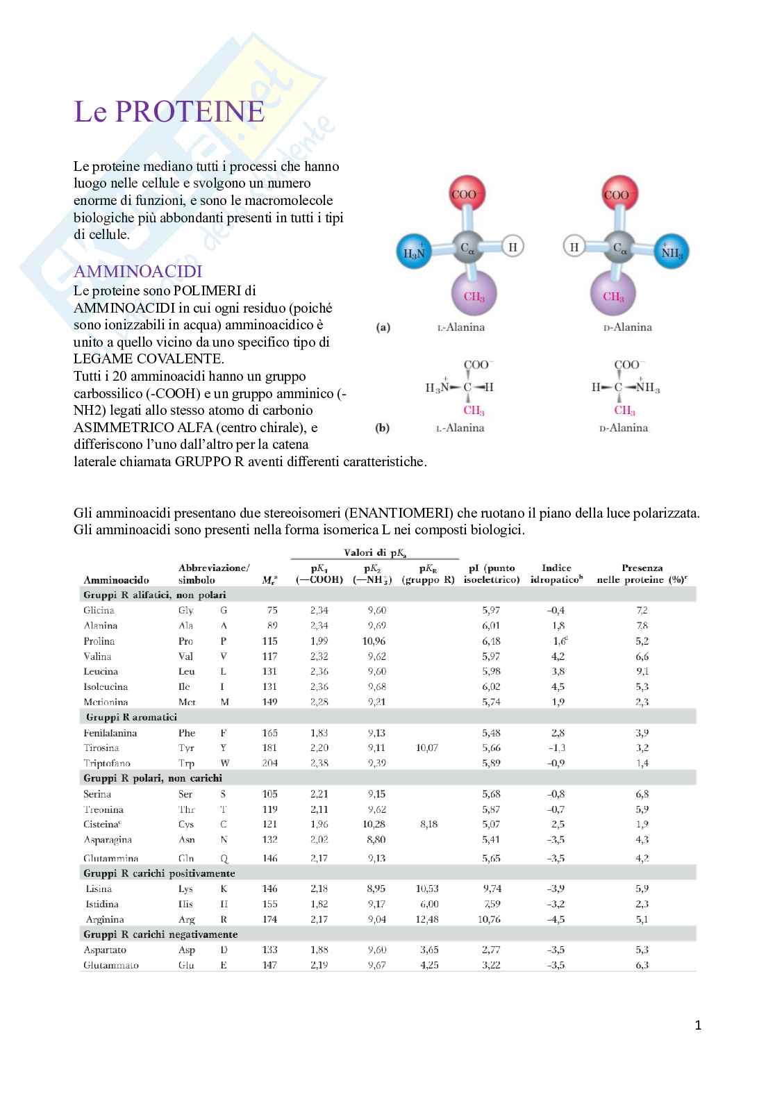 Appunti Biochimica - modulo 1 Pag. 2