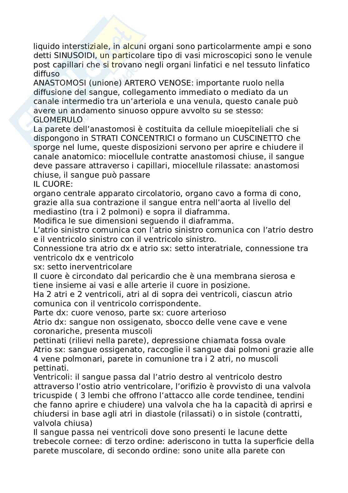 Istologia  Pag. 6