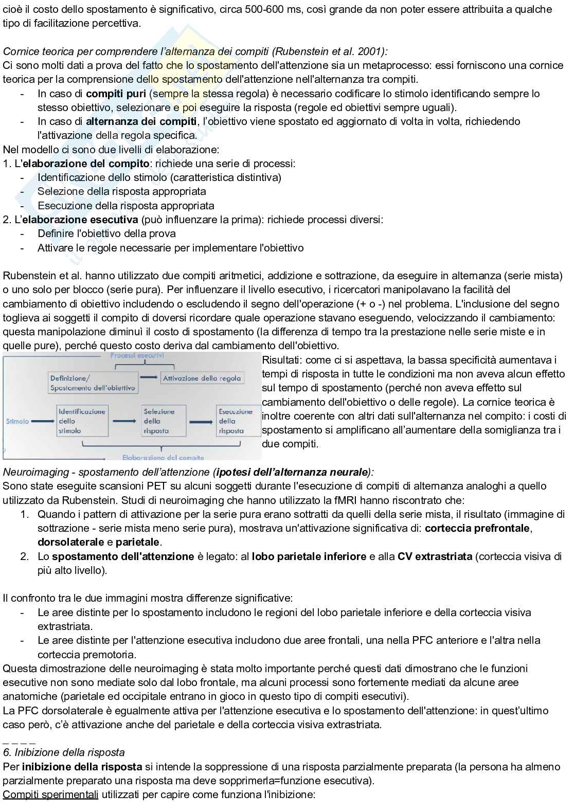 Riassunto esame Psicologia cognitiva, Prof. Arduino Lisa, libro consigliato Psicologia cognitiva, Eysenck, Keane Pag. 21