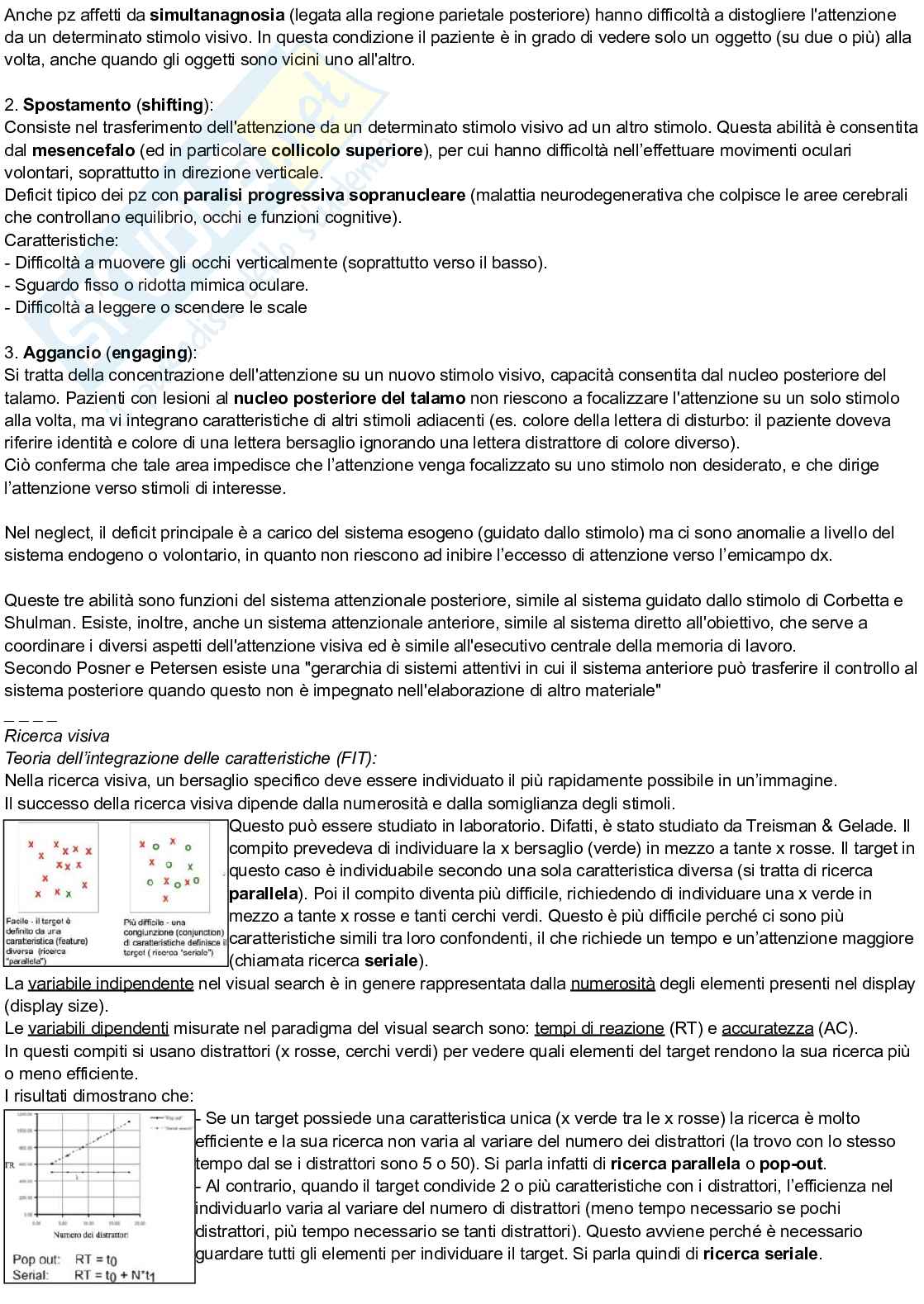 Riassunto esame Psicologia cognitiva, Prof. Arduino Lisa, libro consigliato Psicologia cognitiva, Eysenck, Keane Pag. 31