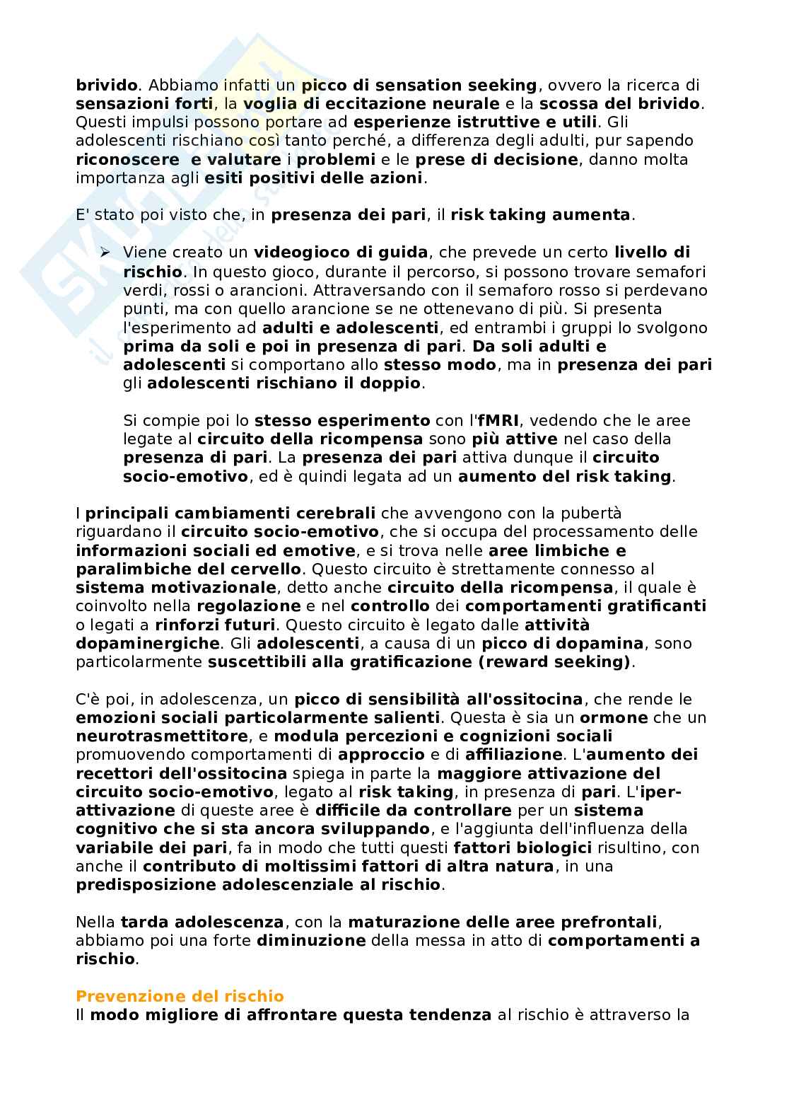 Appunti di Psicologia dell'adolescenza Pag. 41