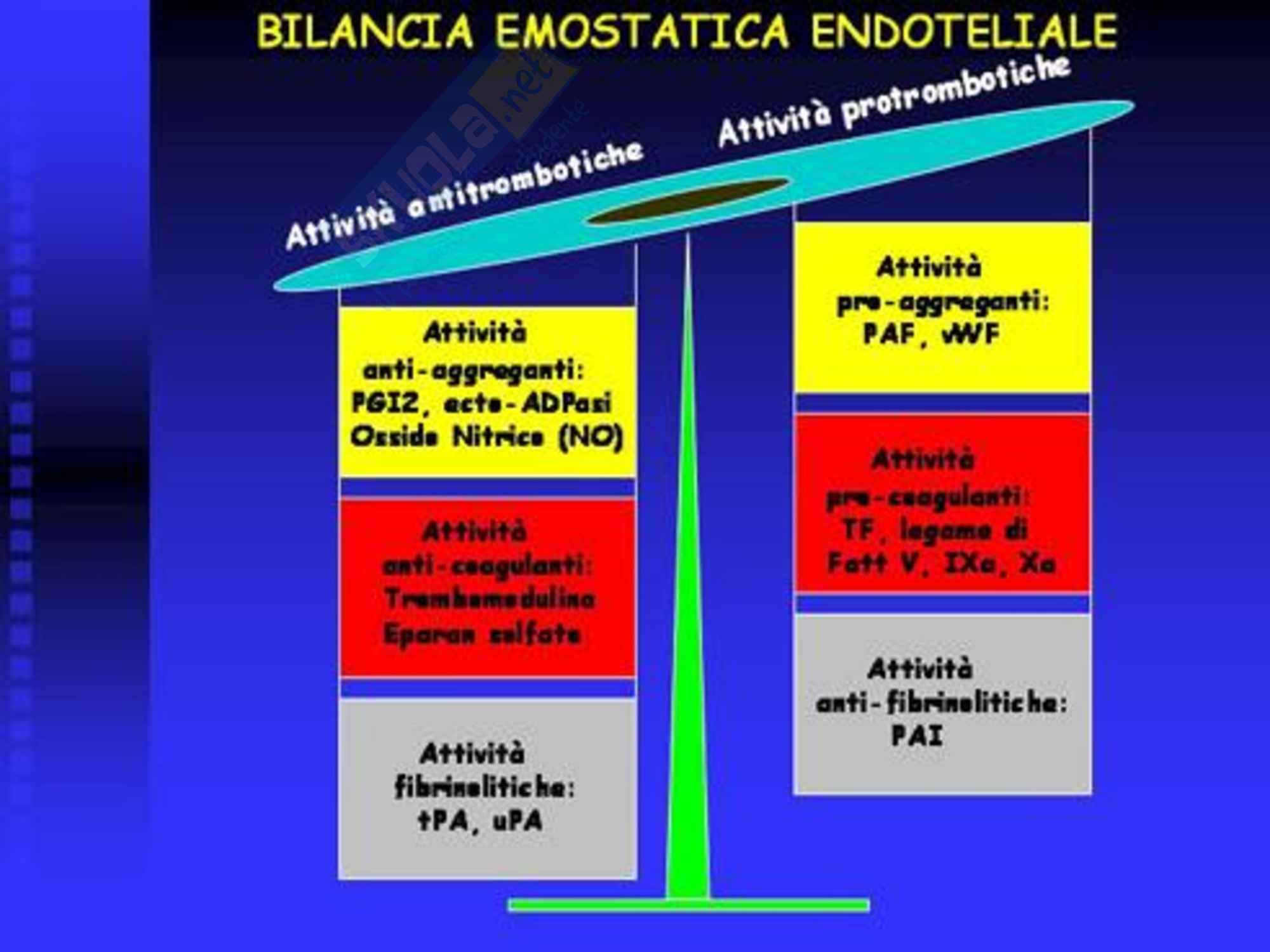 Fisiopatologia dell'Emostasi Pag. 2