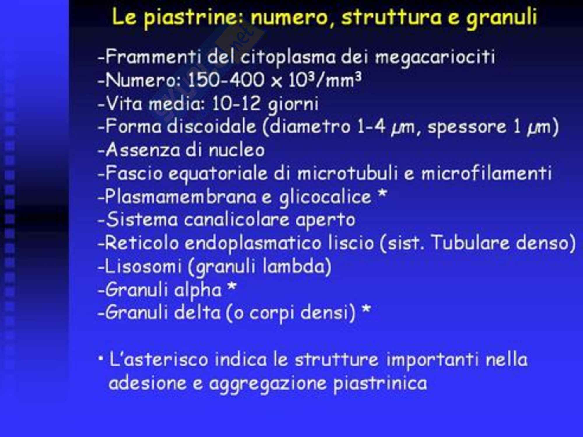 Fisiopatologia dell'Emostasi Pag. 6