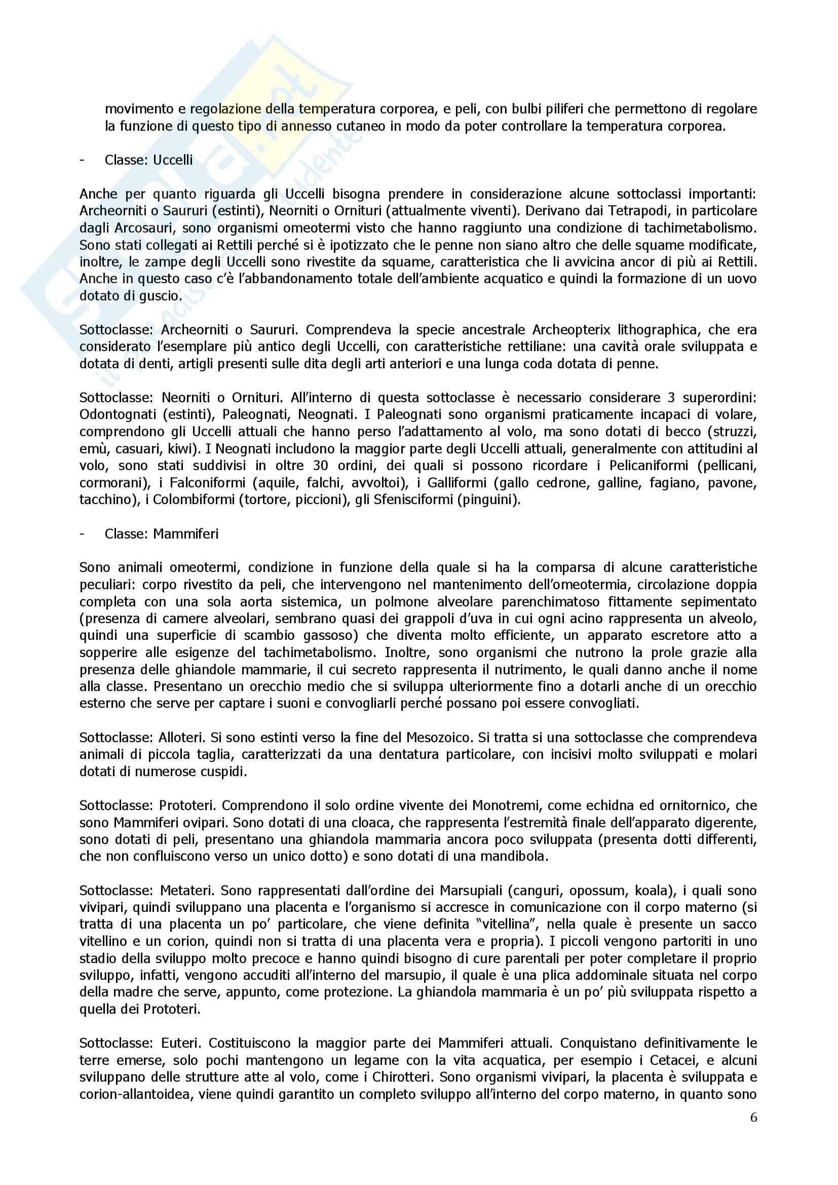 Anatomia Comparata Pag. 6