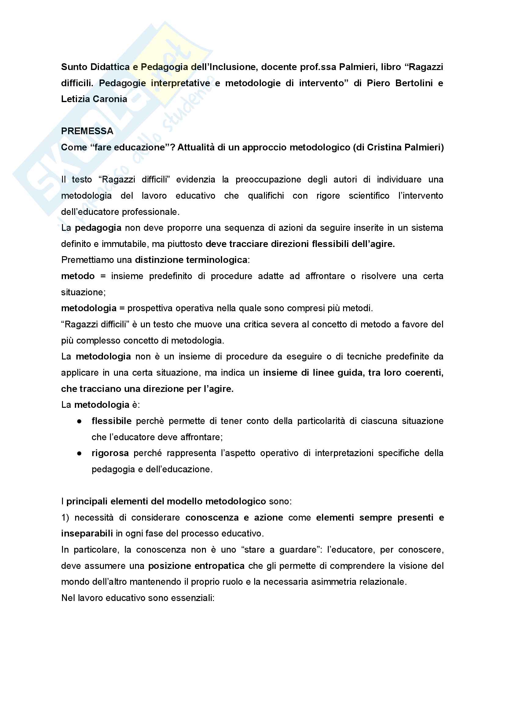 Riassunto esame Didattica e Pedagogia dell'inclusione con laboratorio, prof.ssa Palmieri, libro consigliato Ragazzi difficili. Pedagogie interpretative e metodologie di intervento Pag. 1